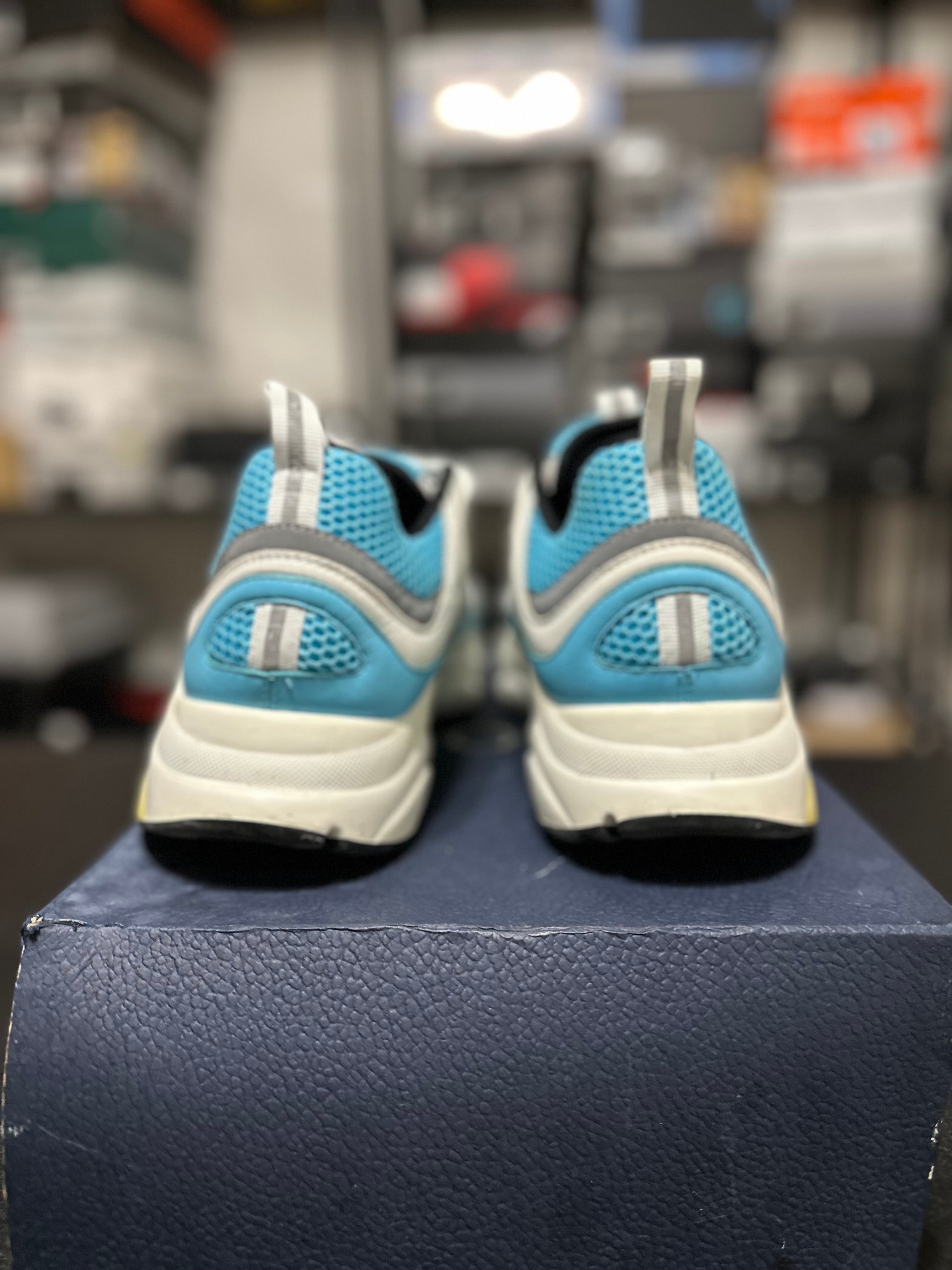 Size 11 - (45) Dior B22 white/blue