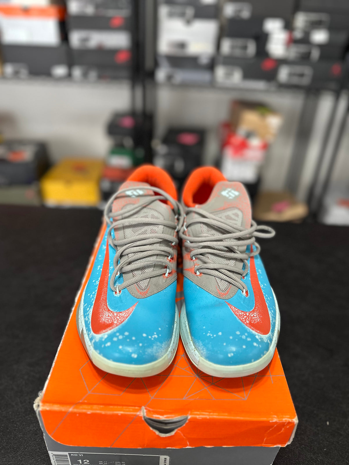 Size 12 - KD 6 Maryland blue crab