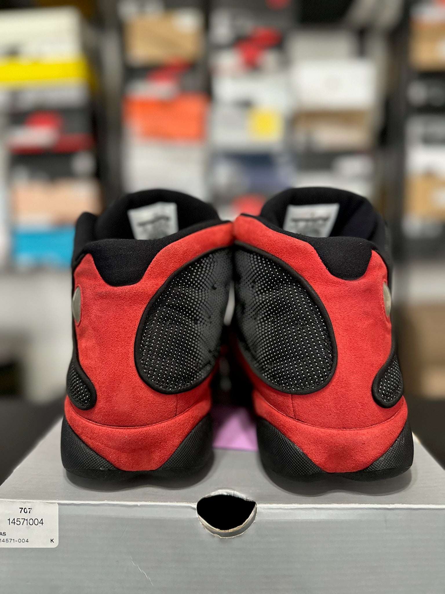 Size 13 - J13 Bred