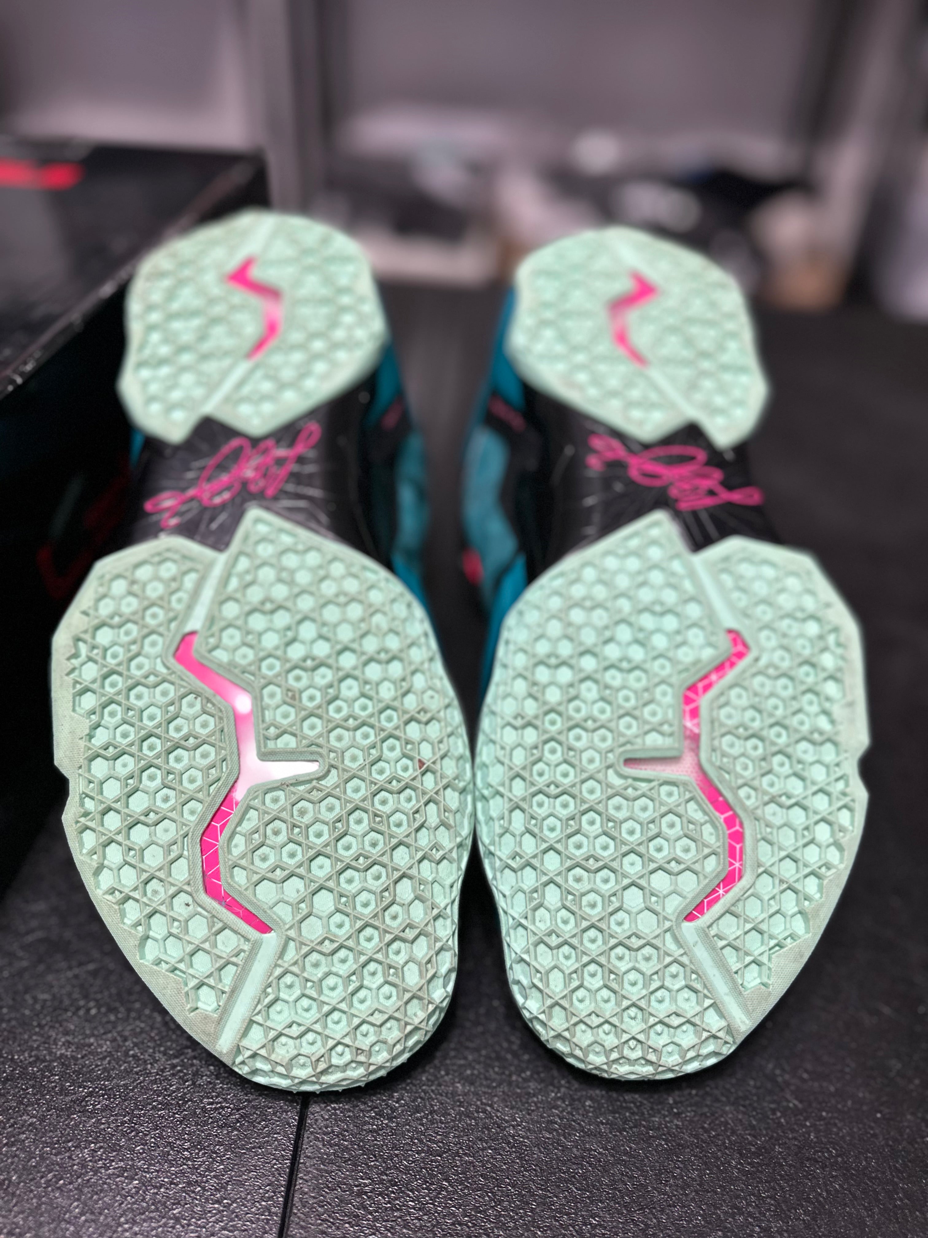 Size 11 - LeBron 11 south beach