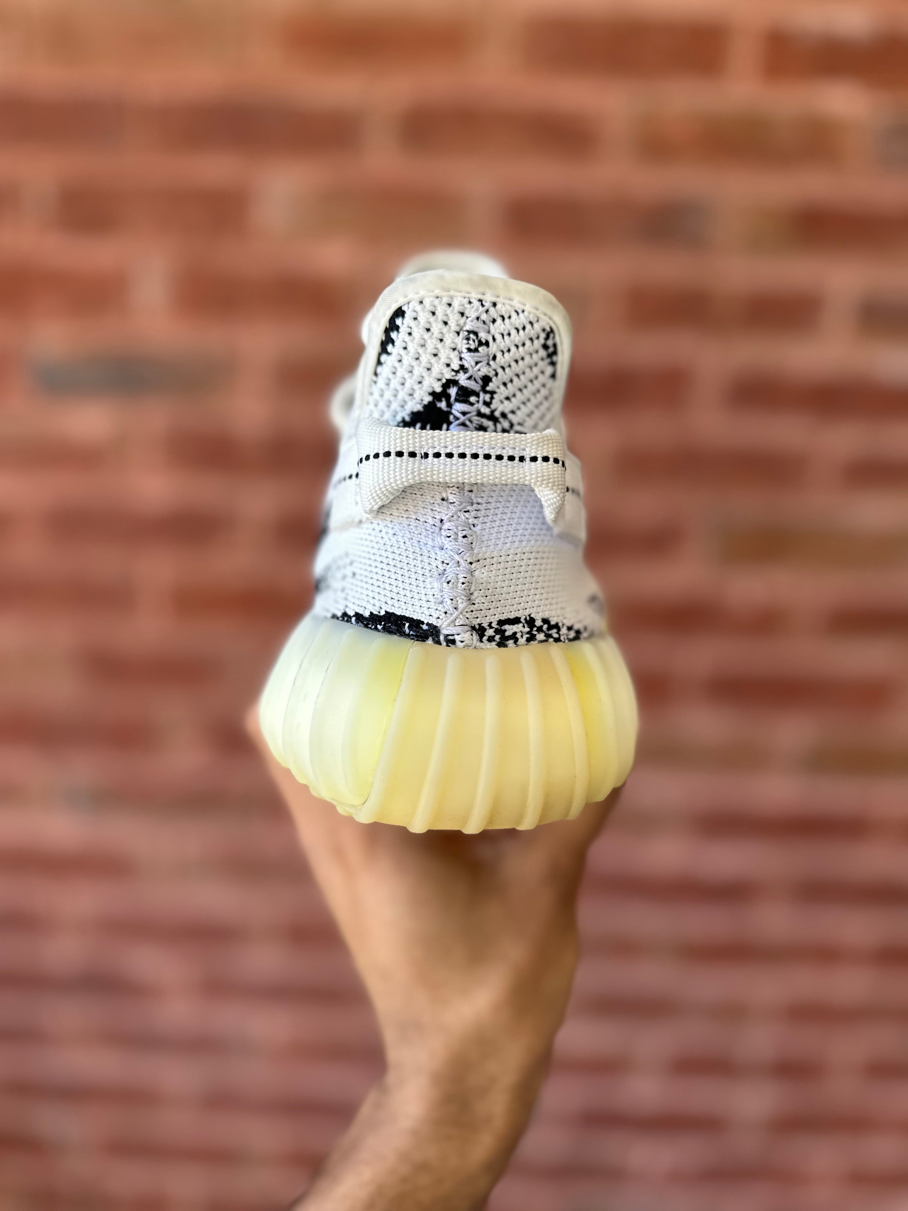 Size 12 - YZY 350 Zebra