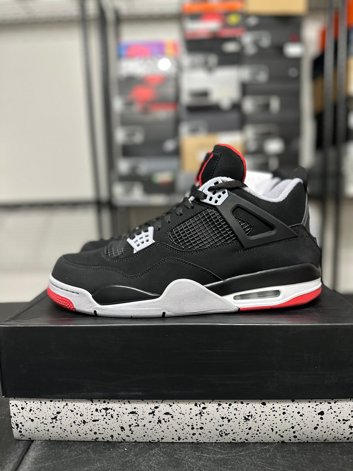 Size 13 - J4 Bred 2019