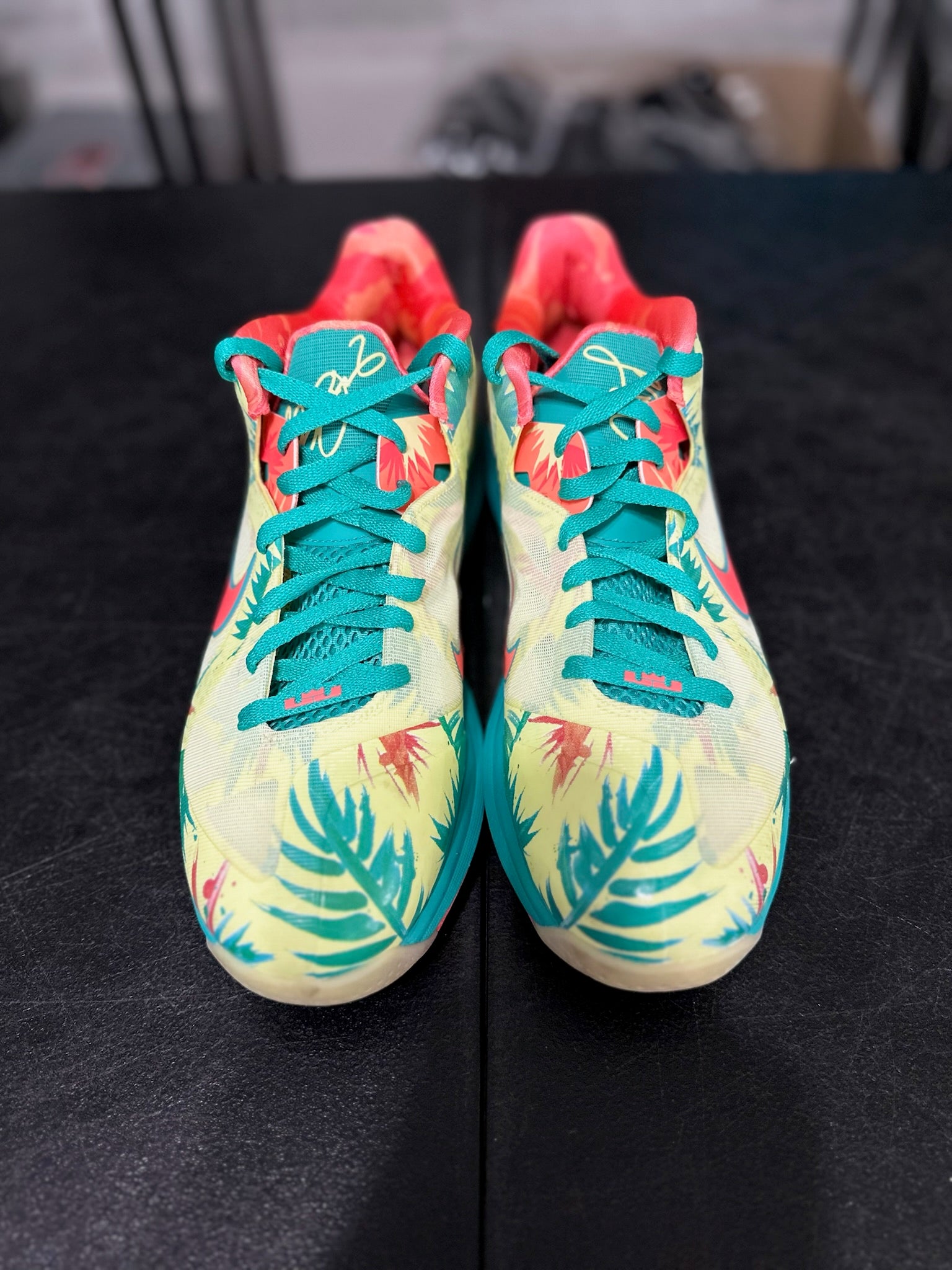 Size 11 - LeBron 9 Low LeBronald Palmer