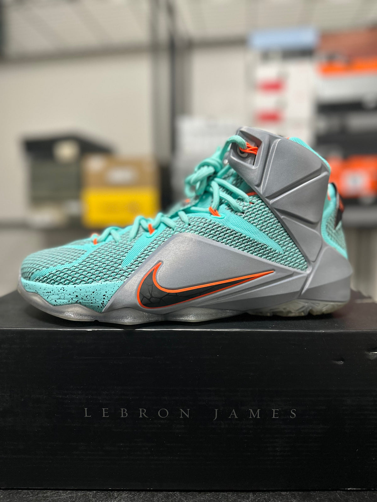 Size 10 - LeBron 12 NSRL
