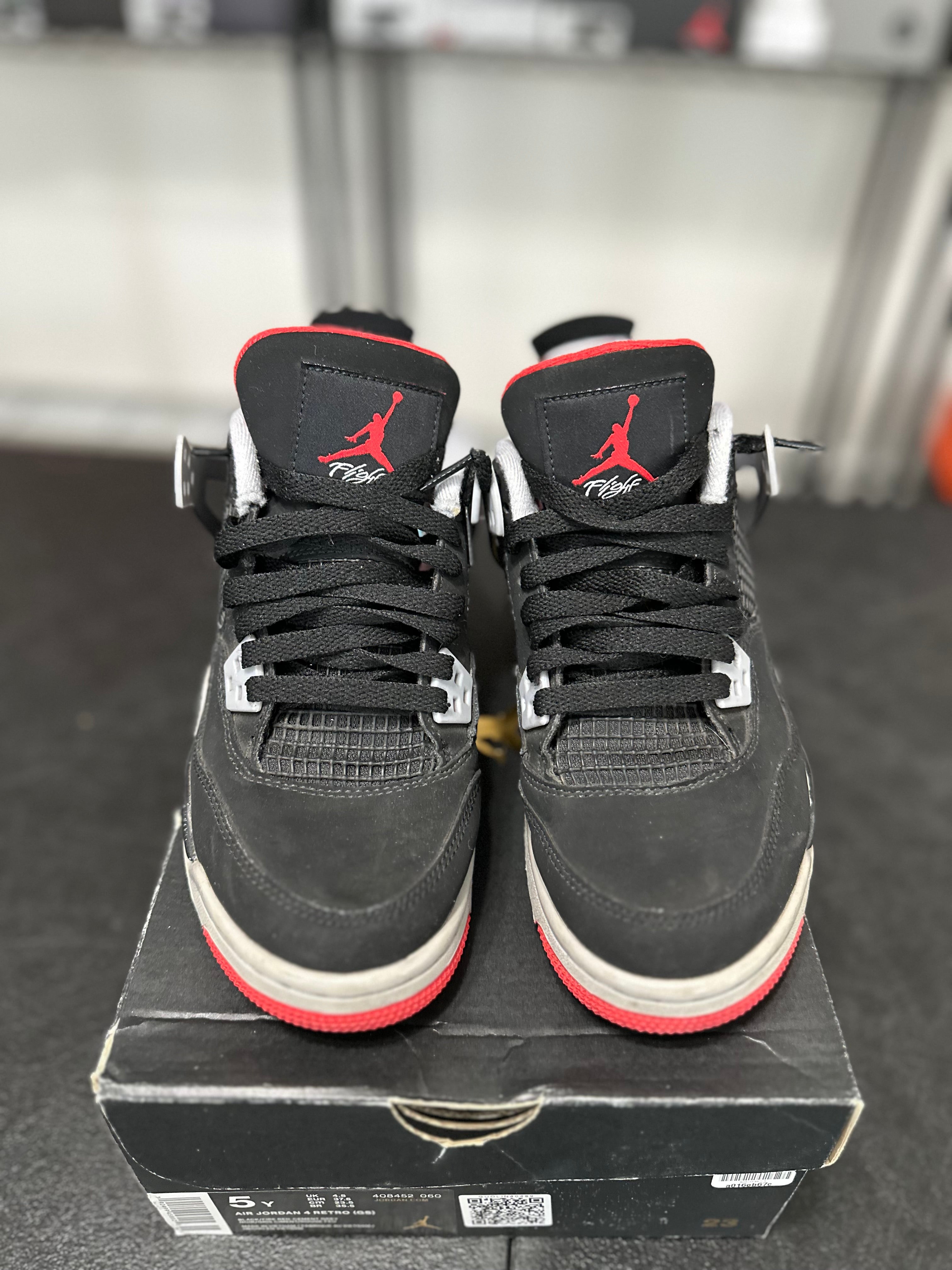 Size 5y - J4 bred 2016
