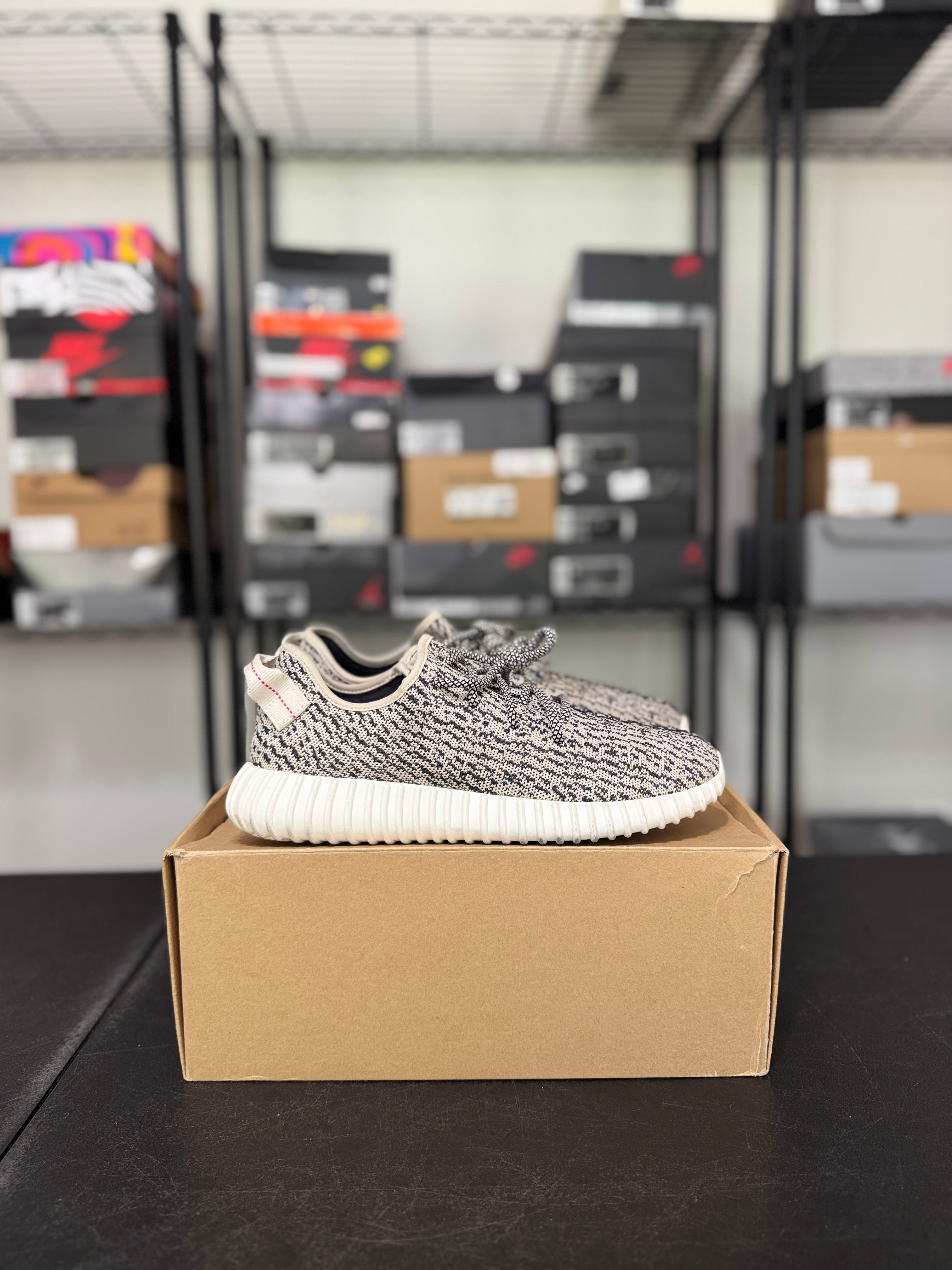 Size 10 - YZY 350 turtle dove (2015 release)