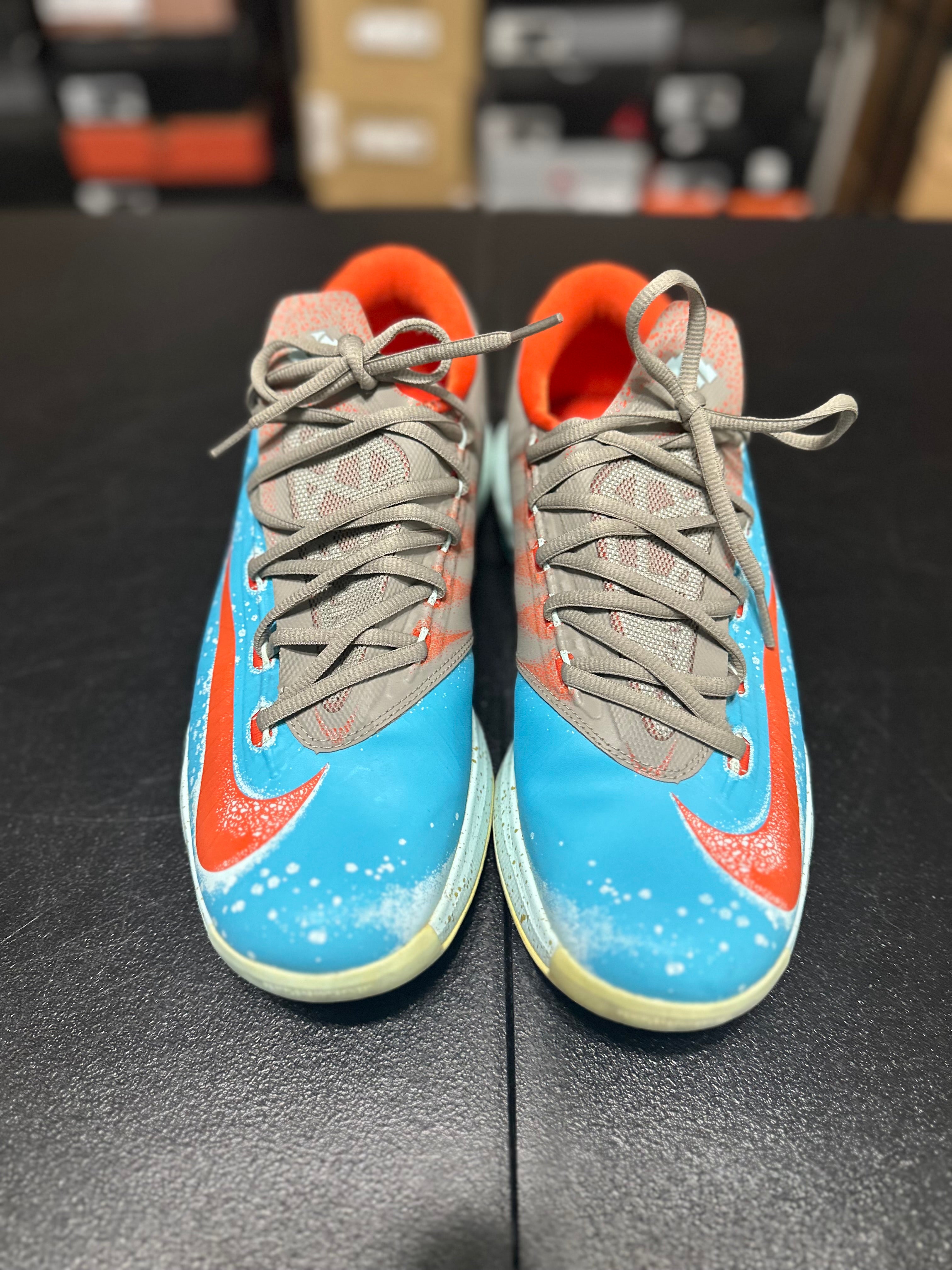 Size 10.5 - KD 6 Maryland blue crab