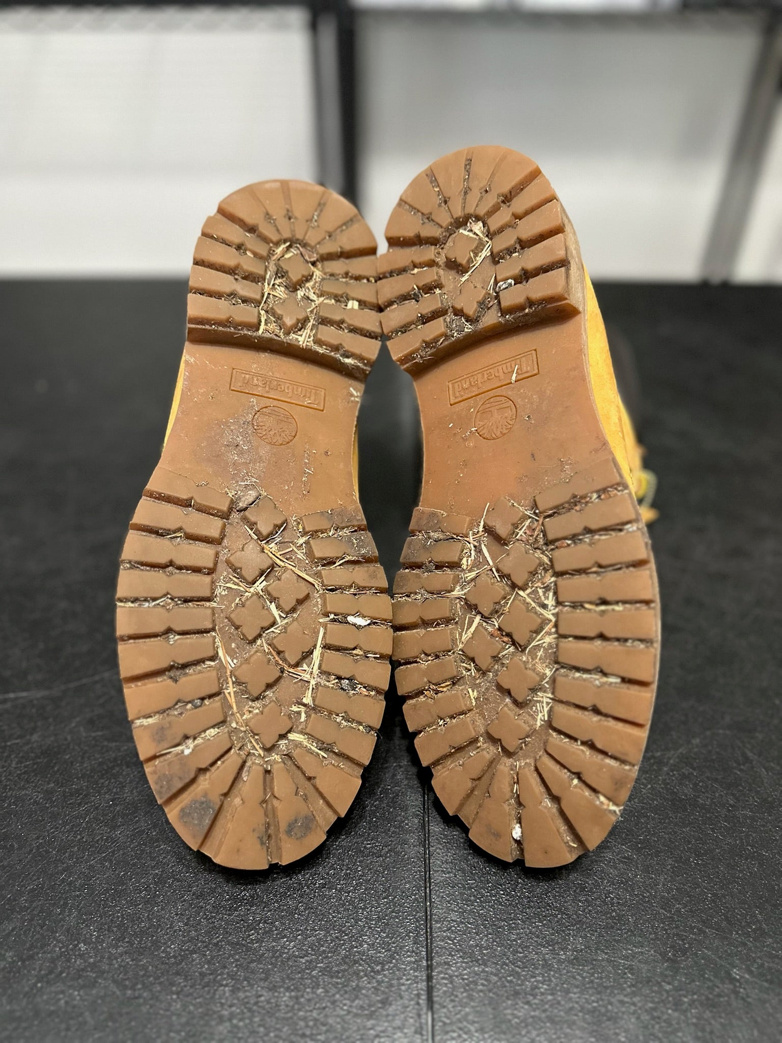 Size 13 - Timberland 6” Boot Wheat