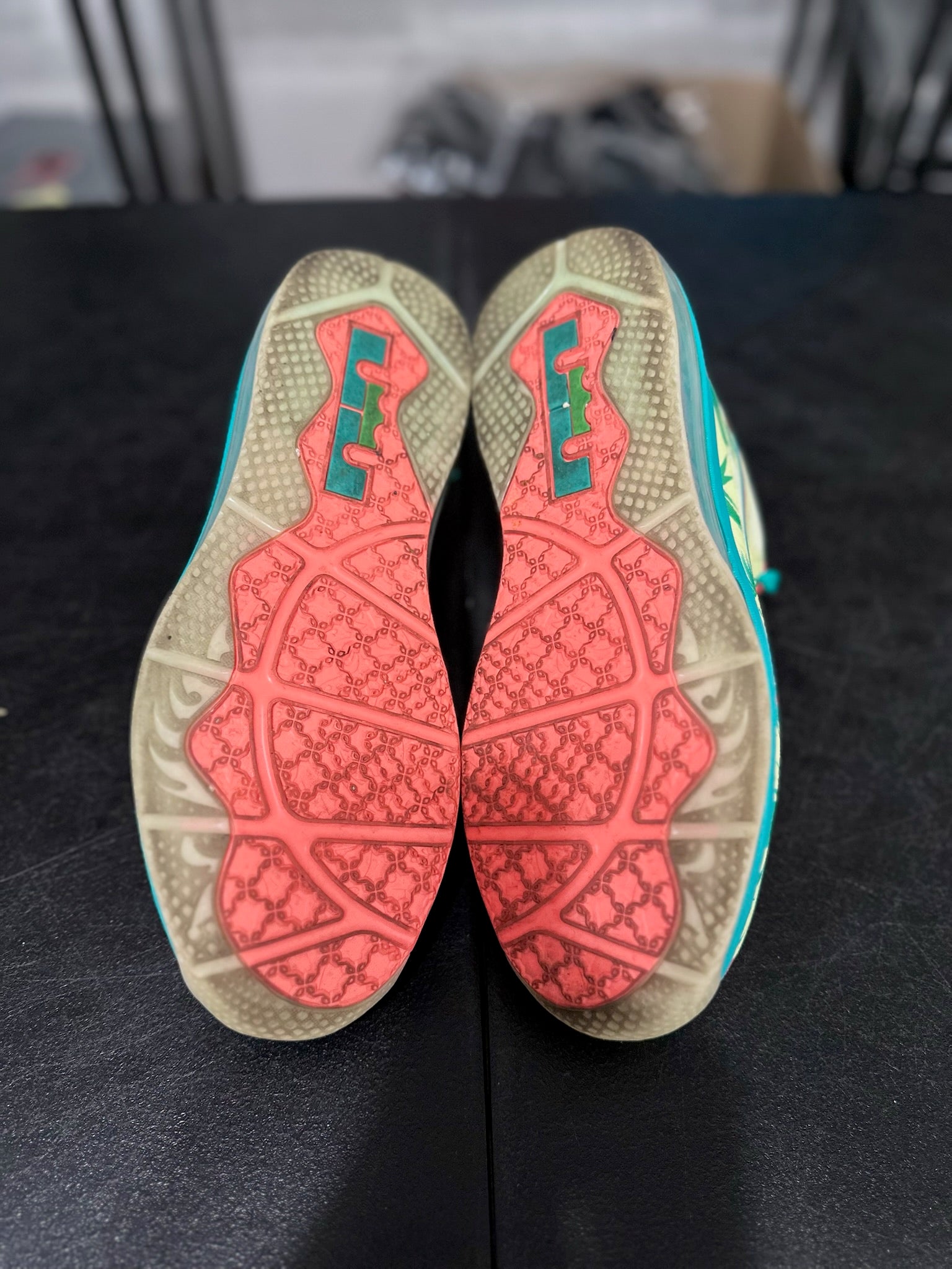 Size 11 - LeBron 9 Low LeBronald Palmer