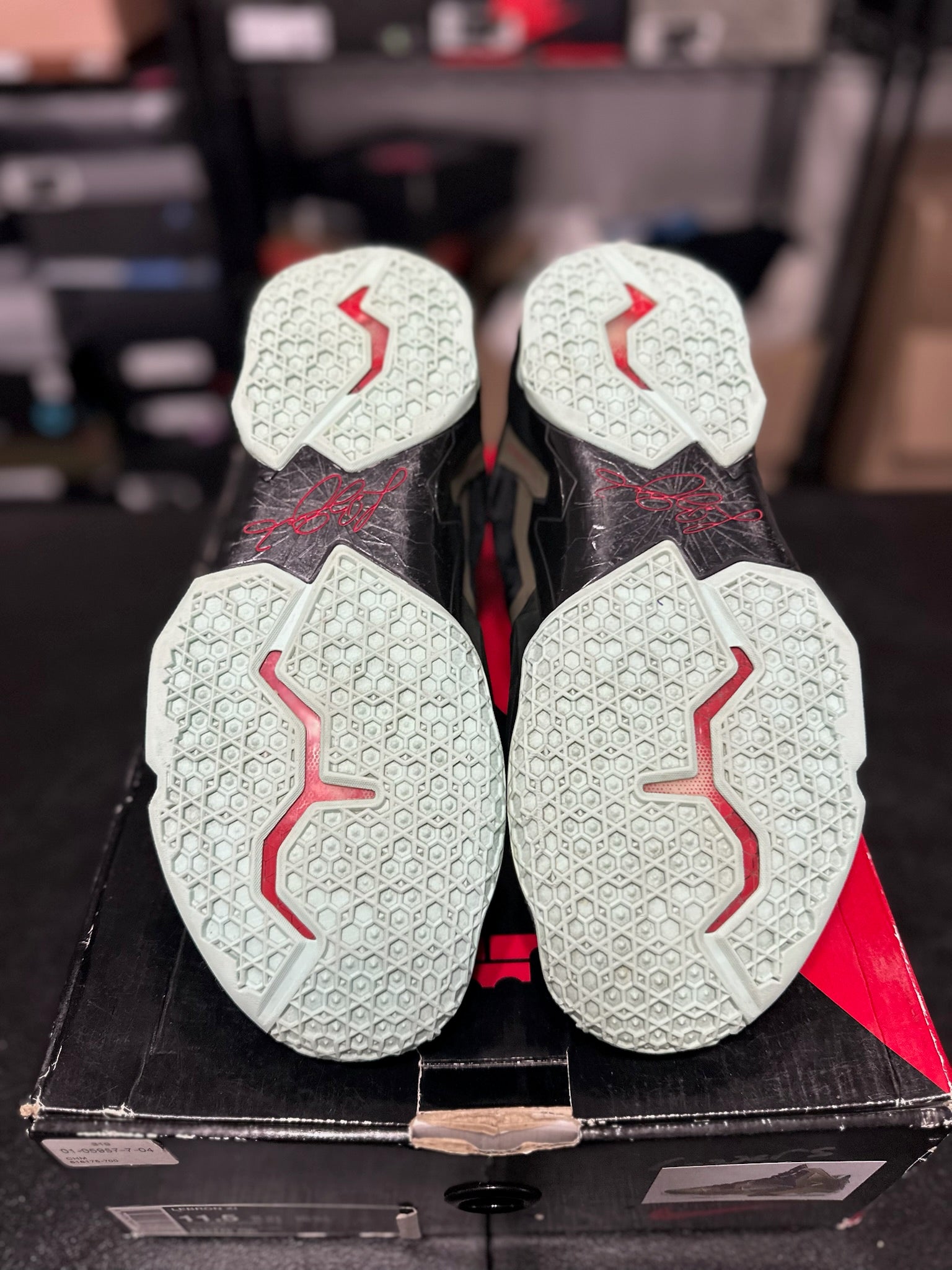 Size 11.5 - LeBron 11 King’s Pride