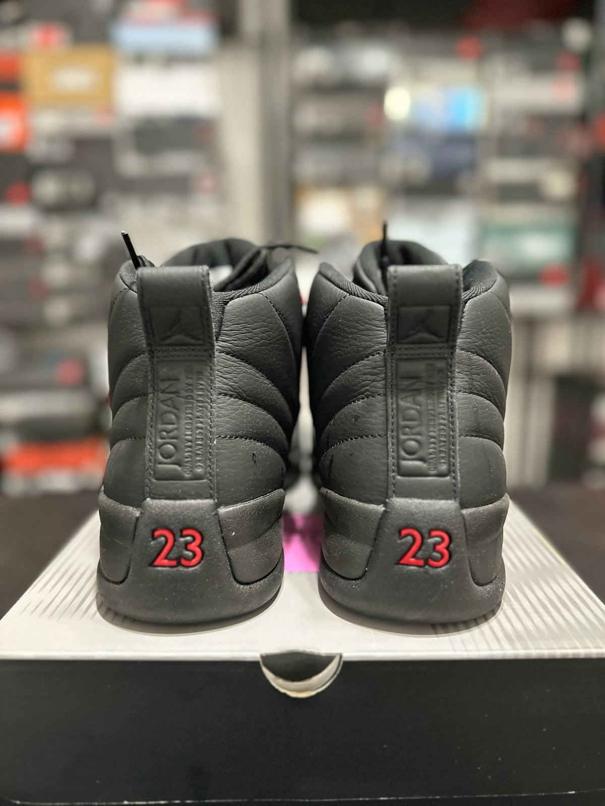 Size 11 - j12 bloodline