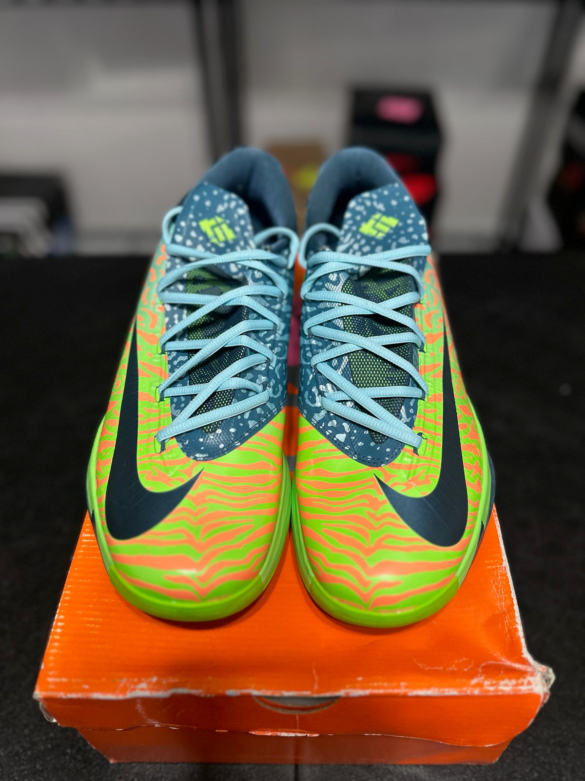 Size 13 - KD 6 Liger