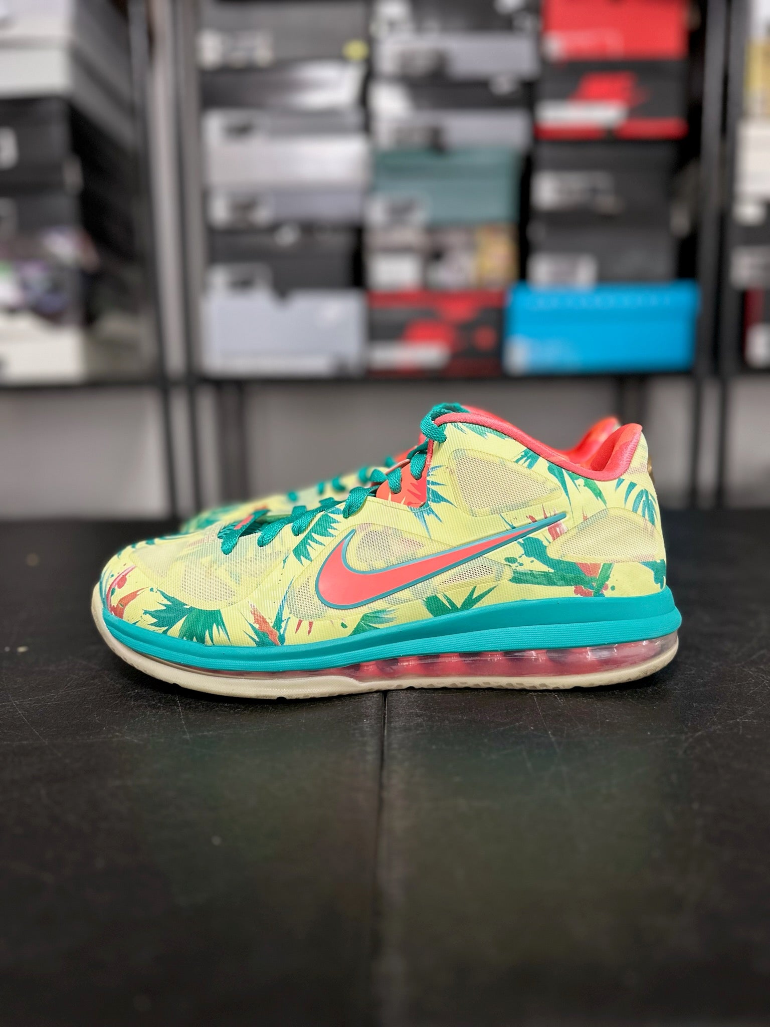 Size 11 - LeBron 9 Low LeBronald Palmer