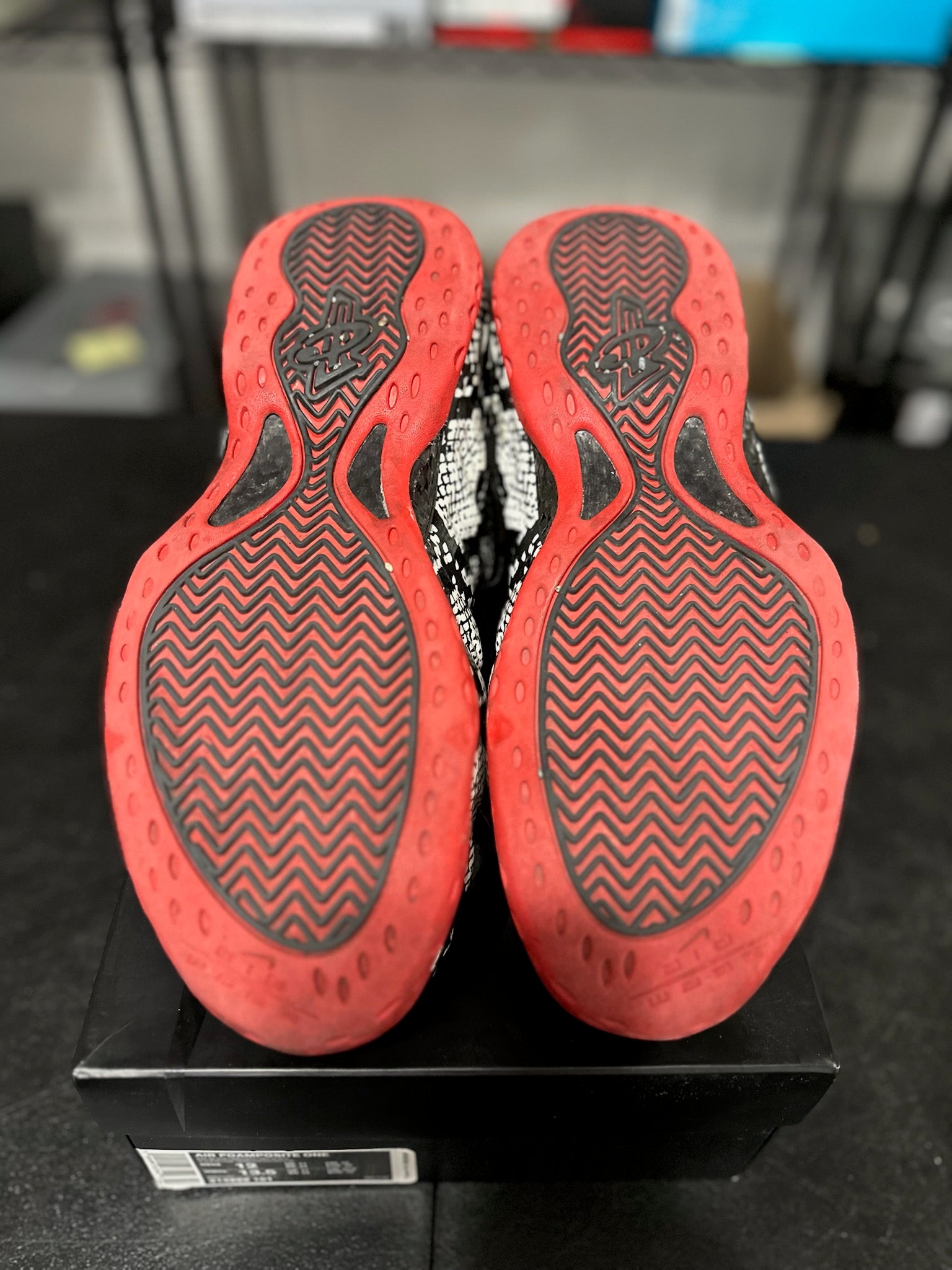 Size 12 - Foamposite 1 Albino Snakeskin
