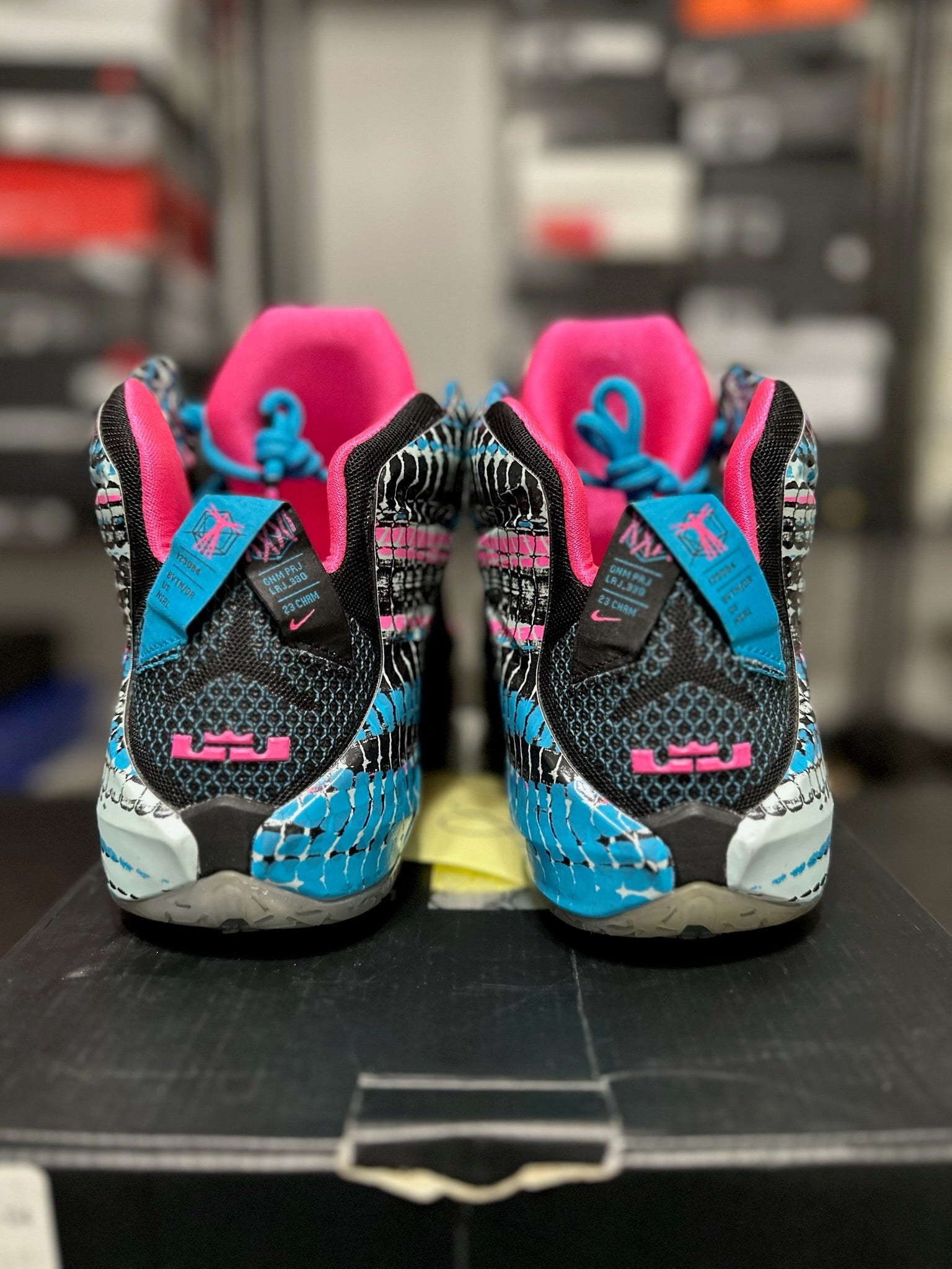 Size 11 - LeBron 12 23 Chromosomes