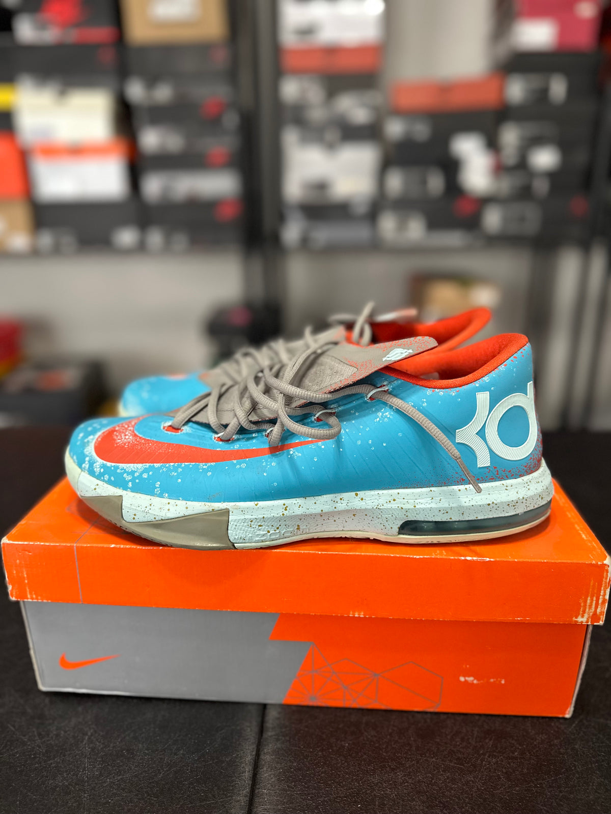 Size 12 - KD 6 Maryland blue crab