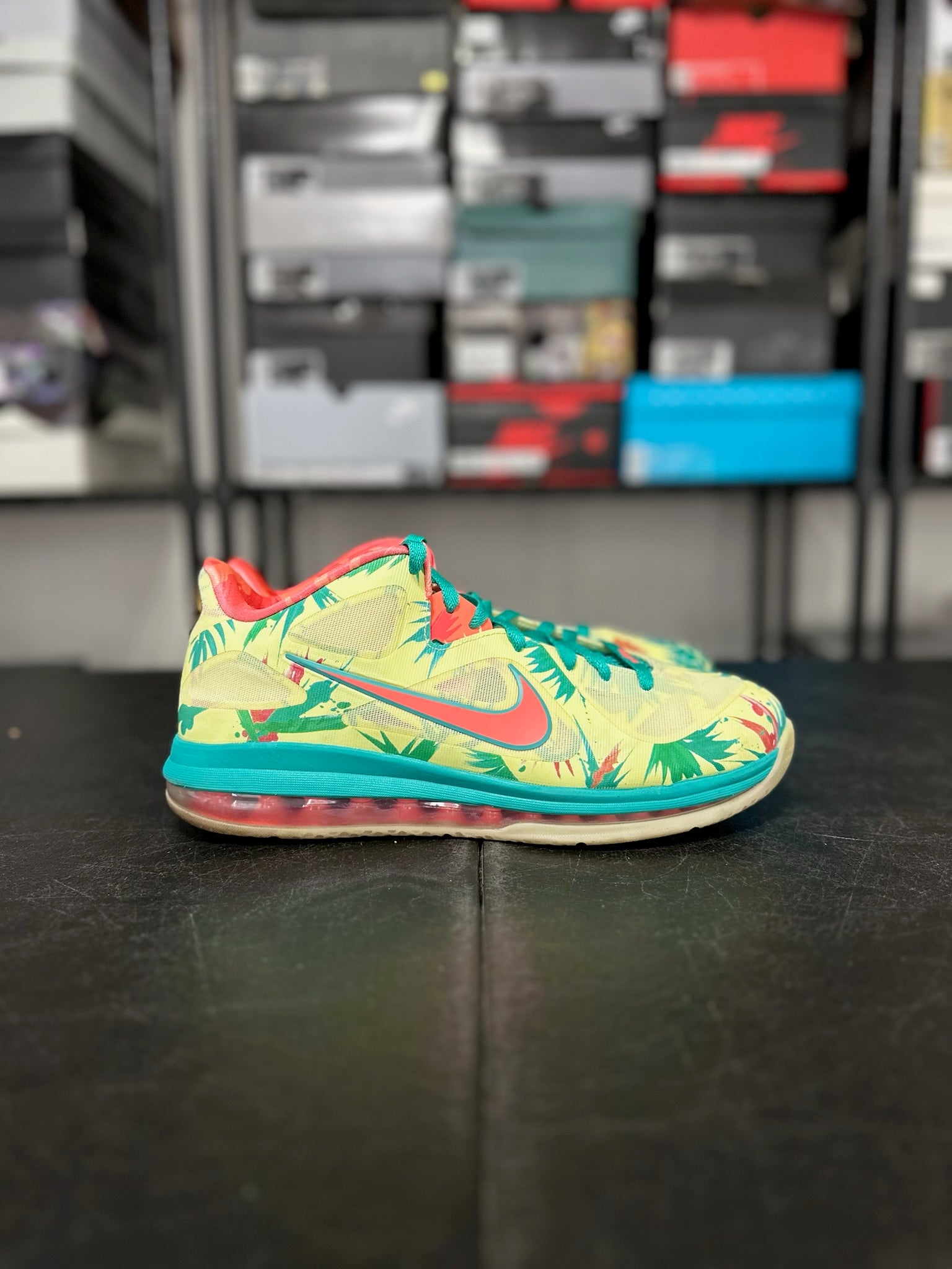 Size 11 - LeBron 9 Low LeBronald Palmer