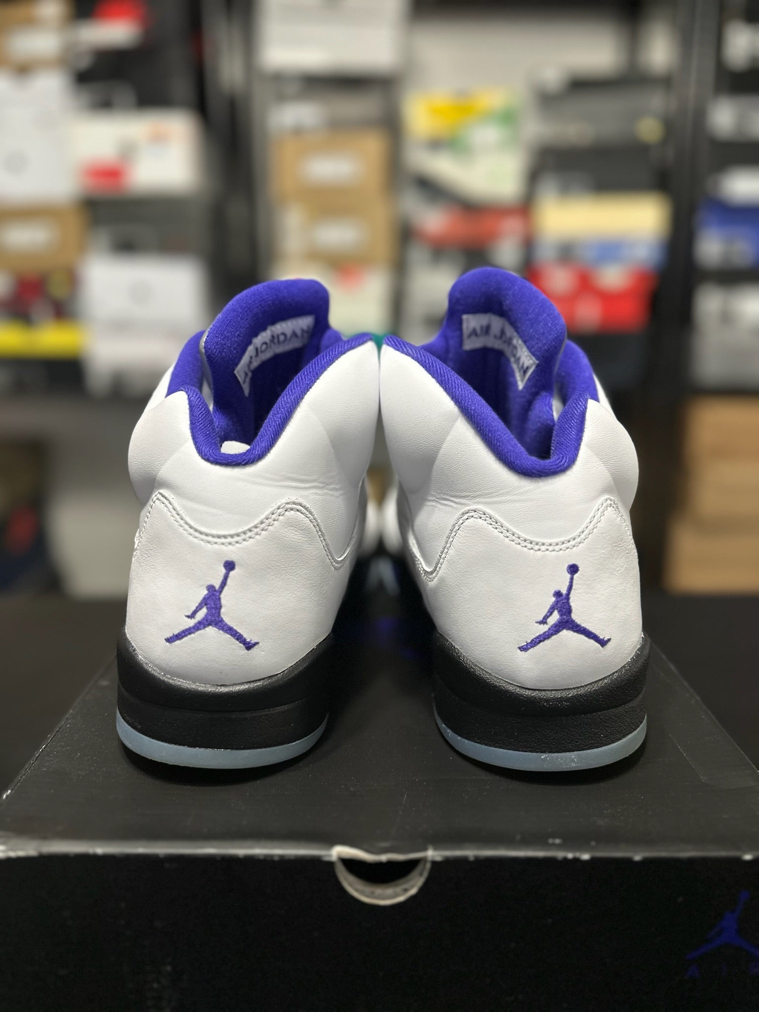 Size 13 - J5 Dark Concord