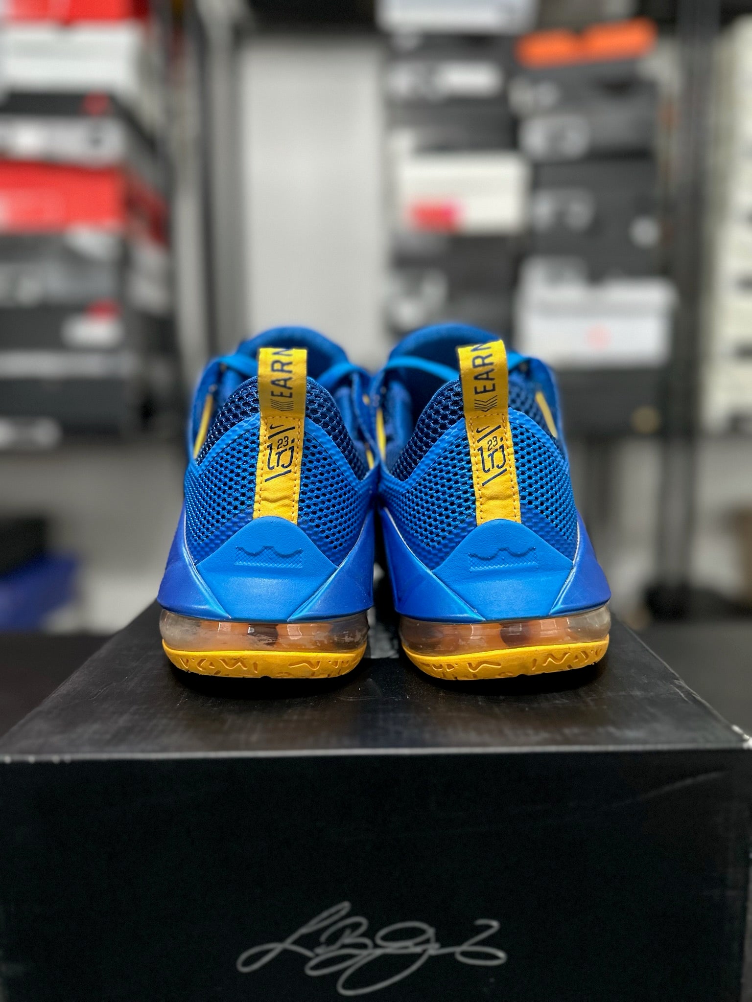Size 11 - LeBron 12 Low Entourage