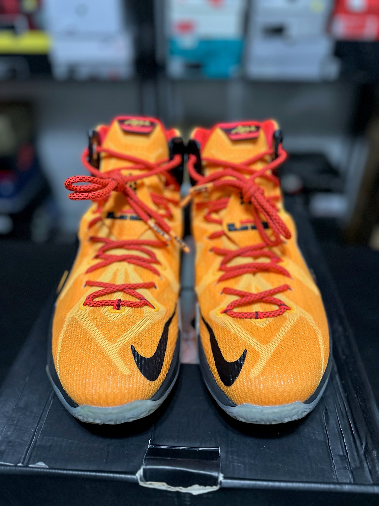 Size 12 - LeBron 12 Witness