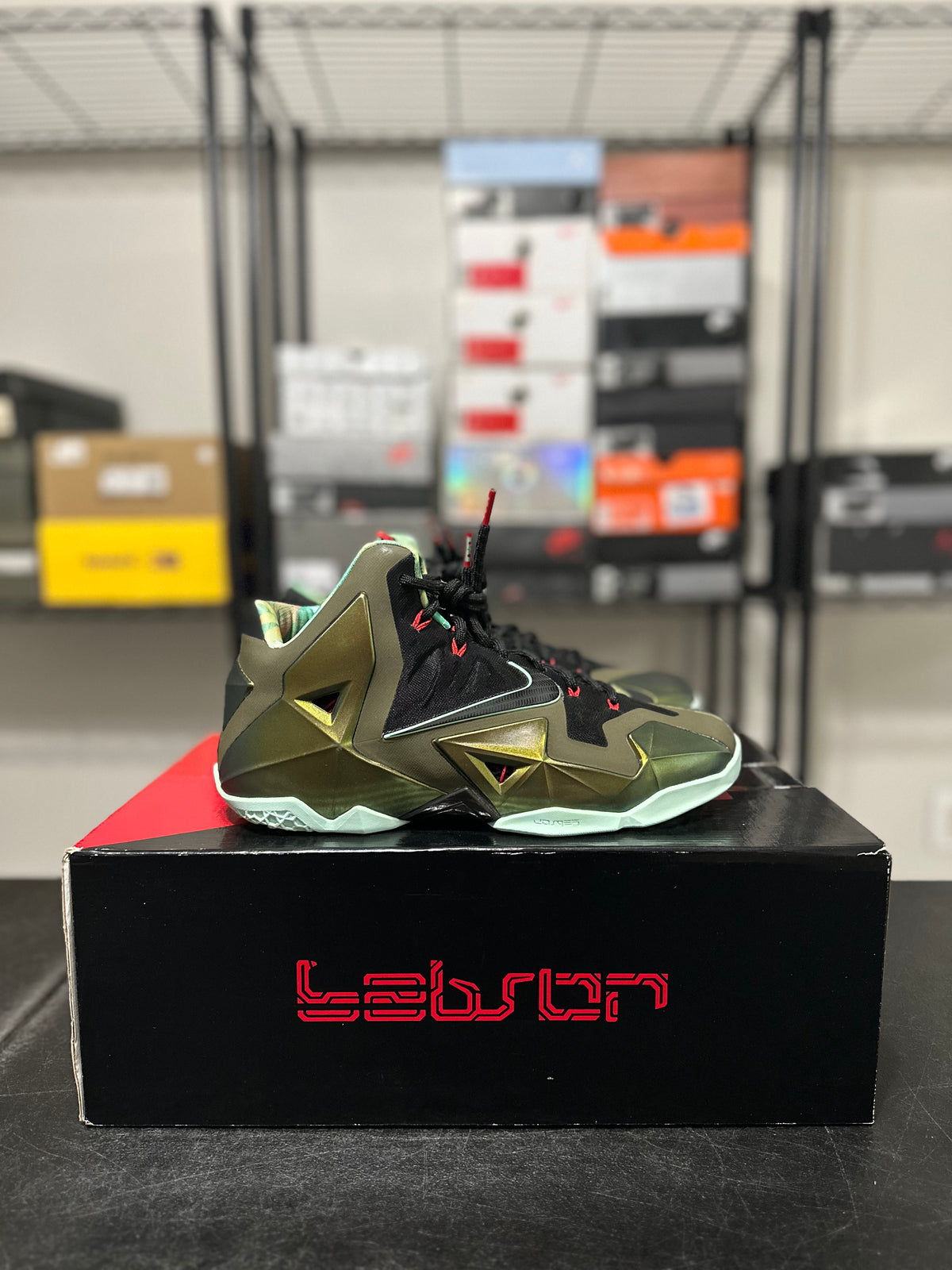 Size 10 - LeBron 11 kings pride