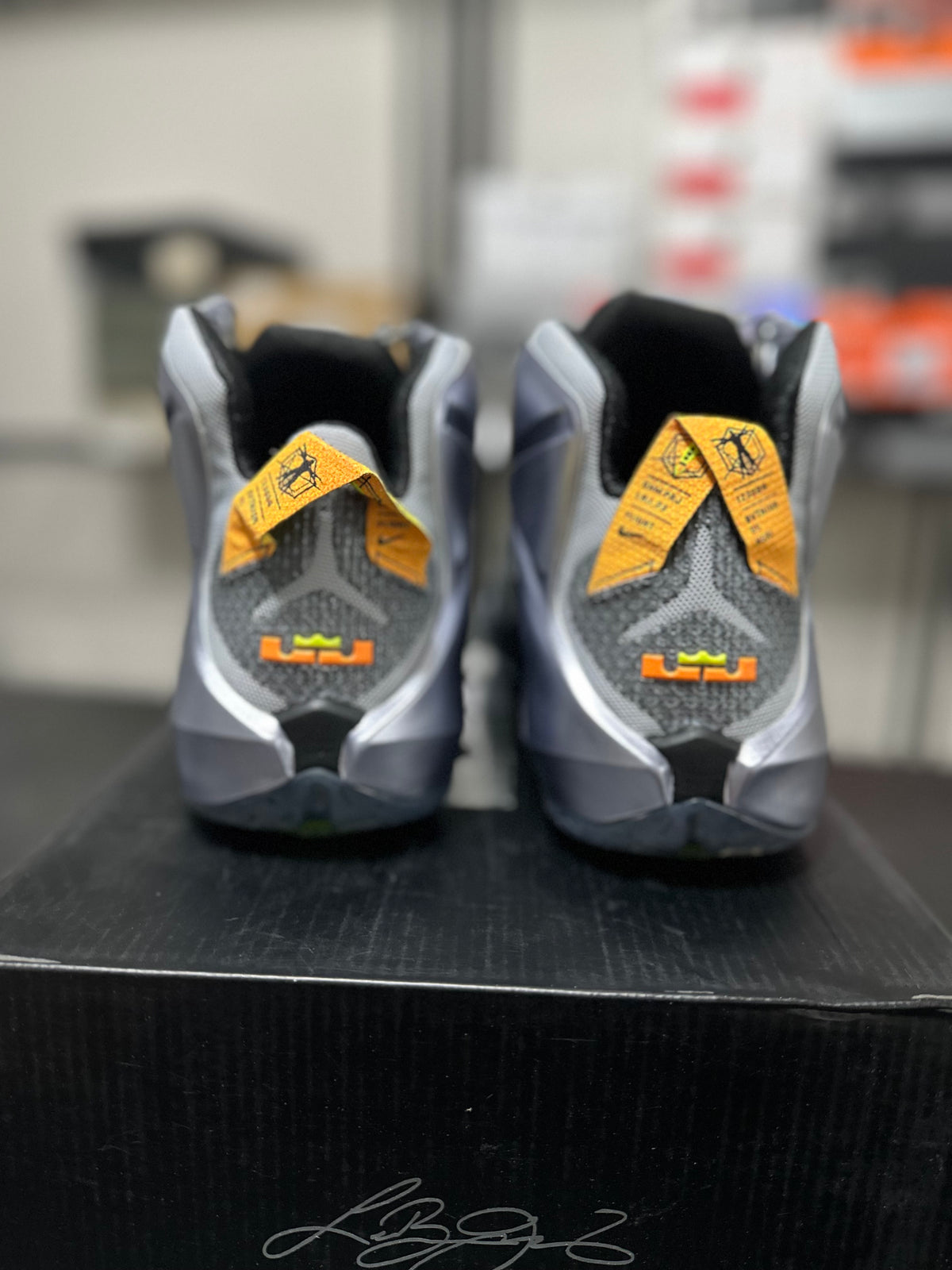 Size 10 - Lebron 12 Flight