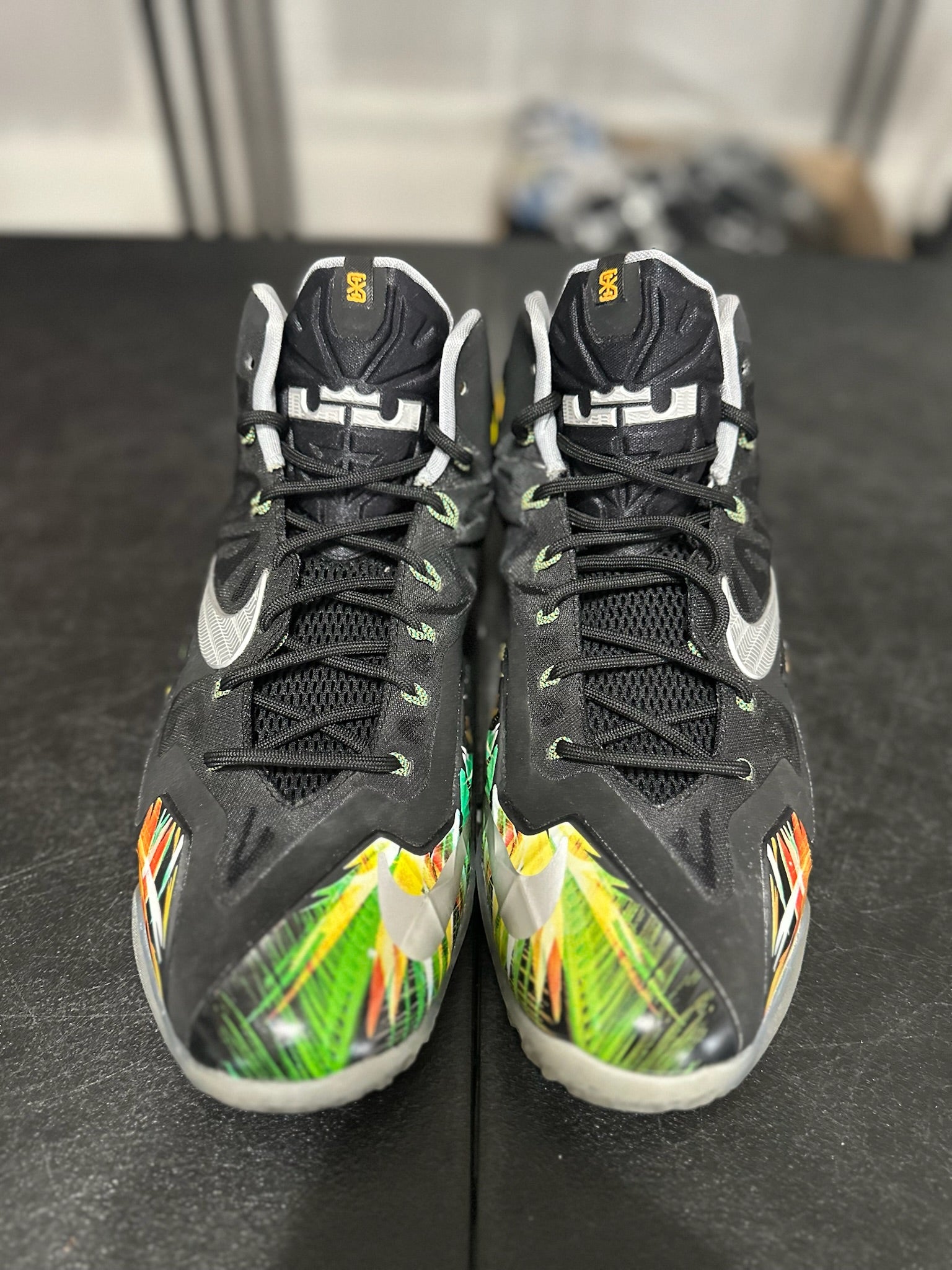 Size 11.5 - LeBron 11 Everglades