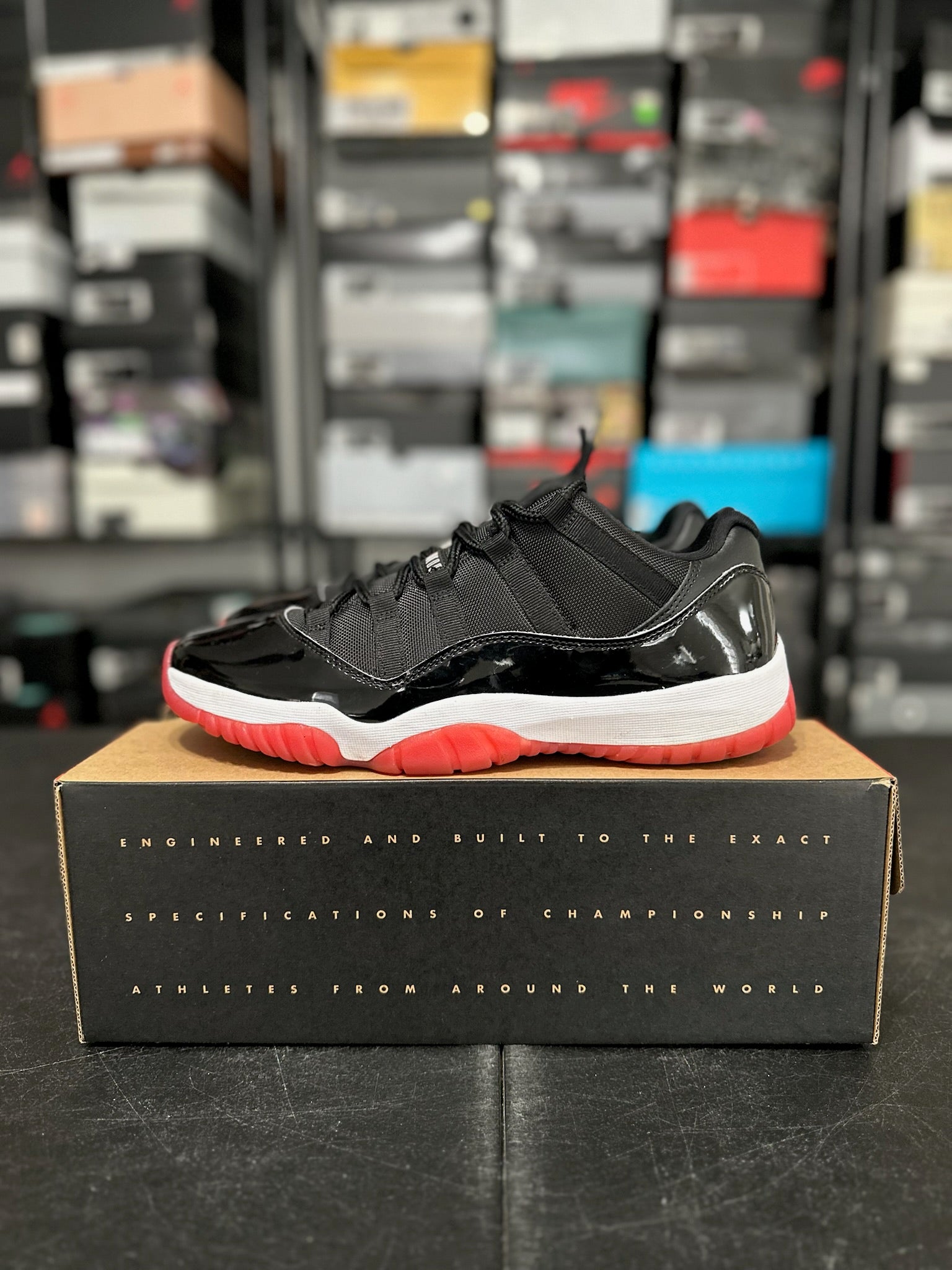 Size 11 - J11 Low Bred