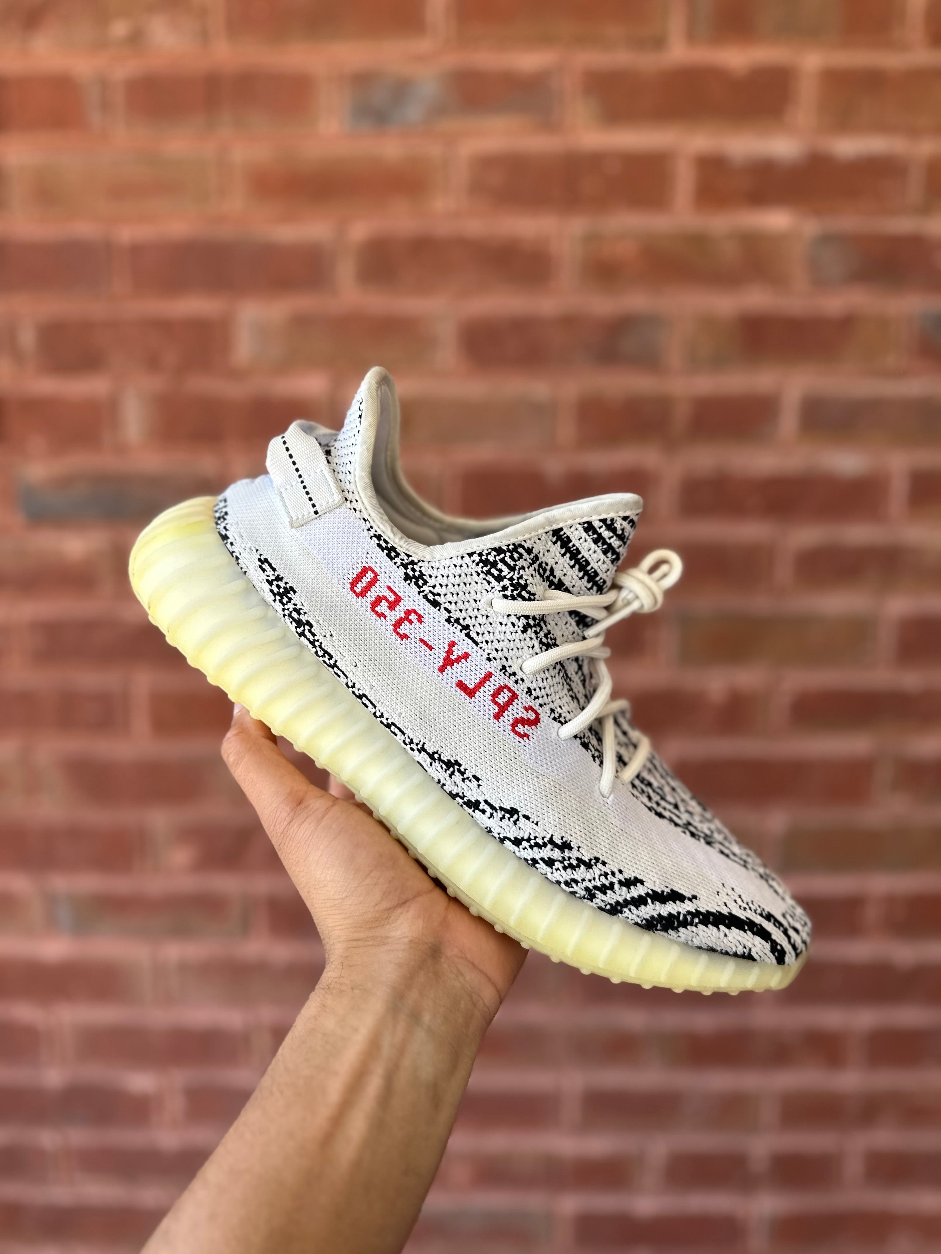 Size 12 - YZY 350 Zebra