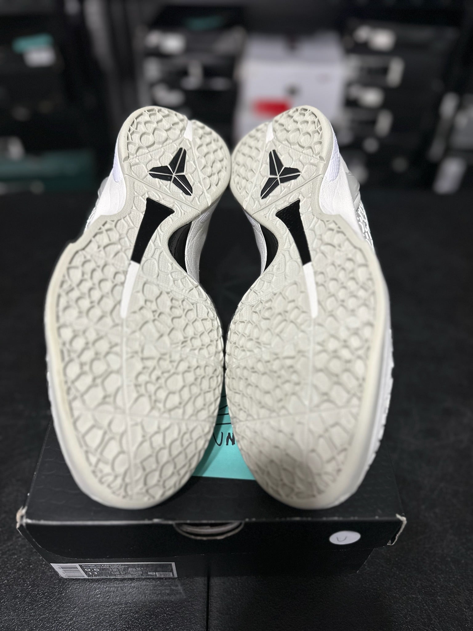 Size 9.5 - Kobe 6 Protro Sail All Star