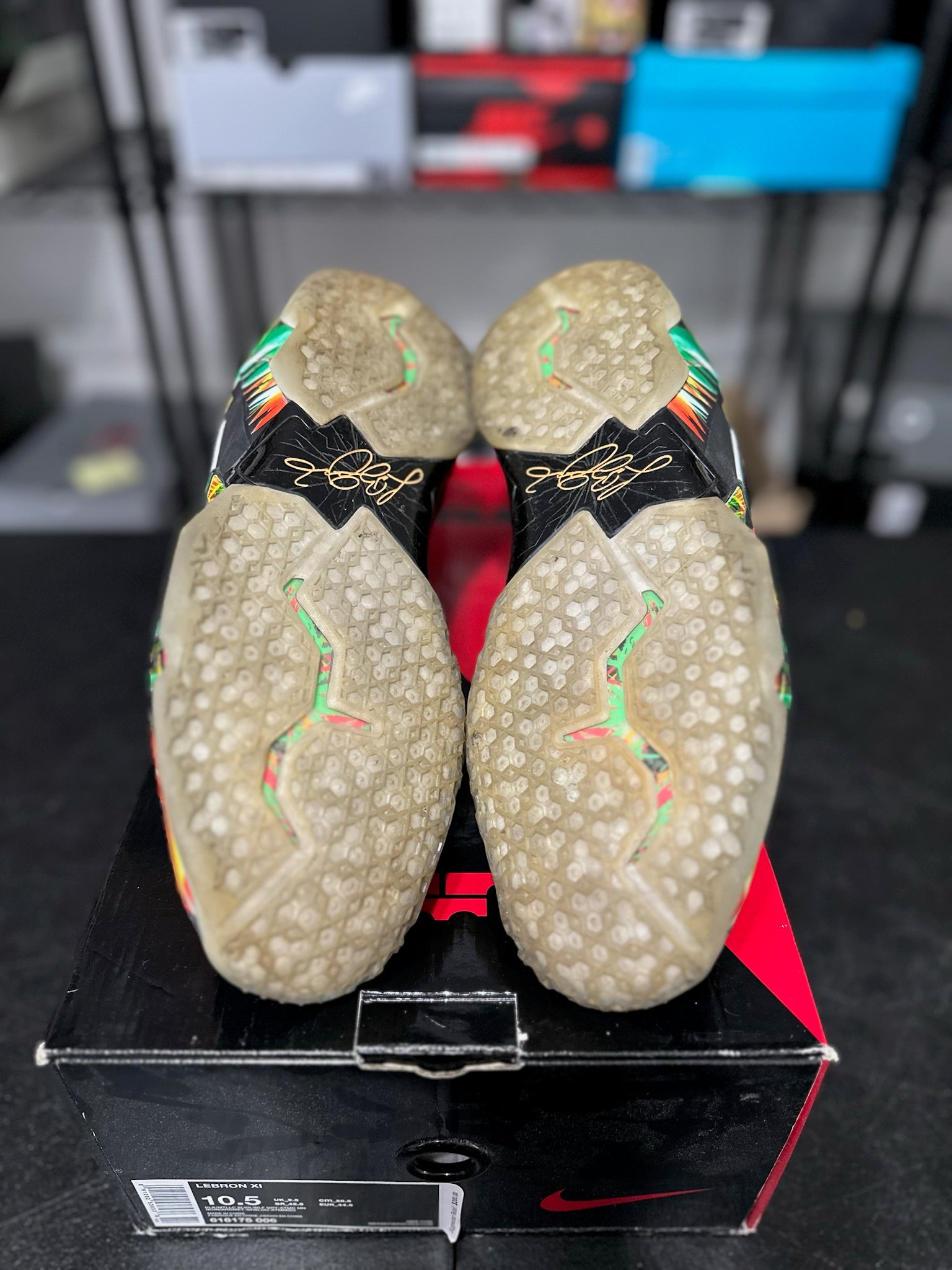 Size 10.5 - LeBron 11 Everglades