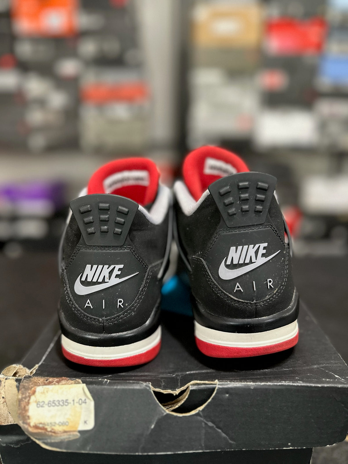 Size 5Y - j4 bred