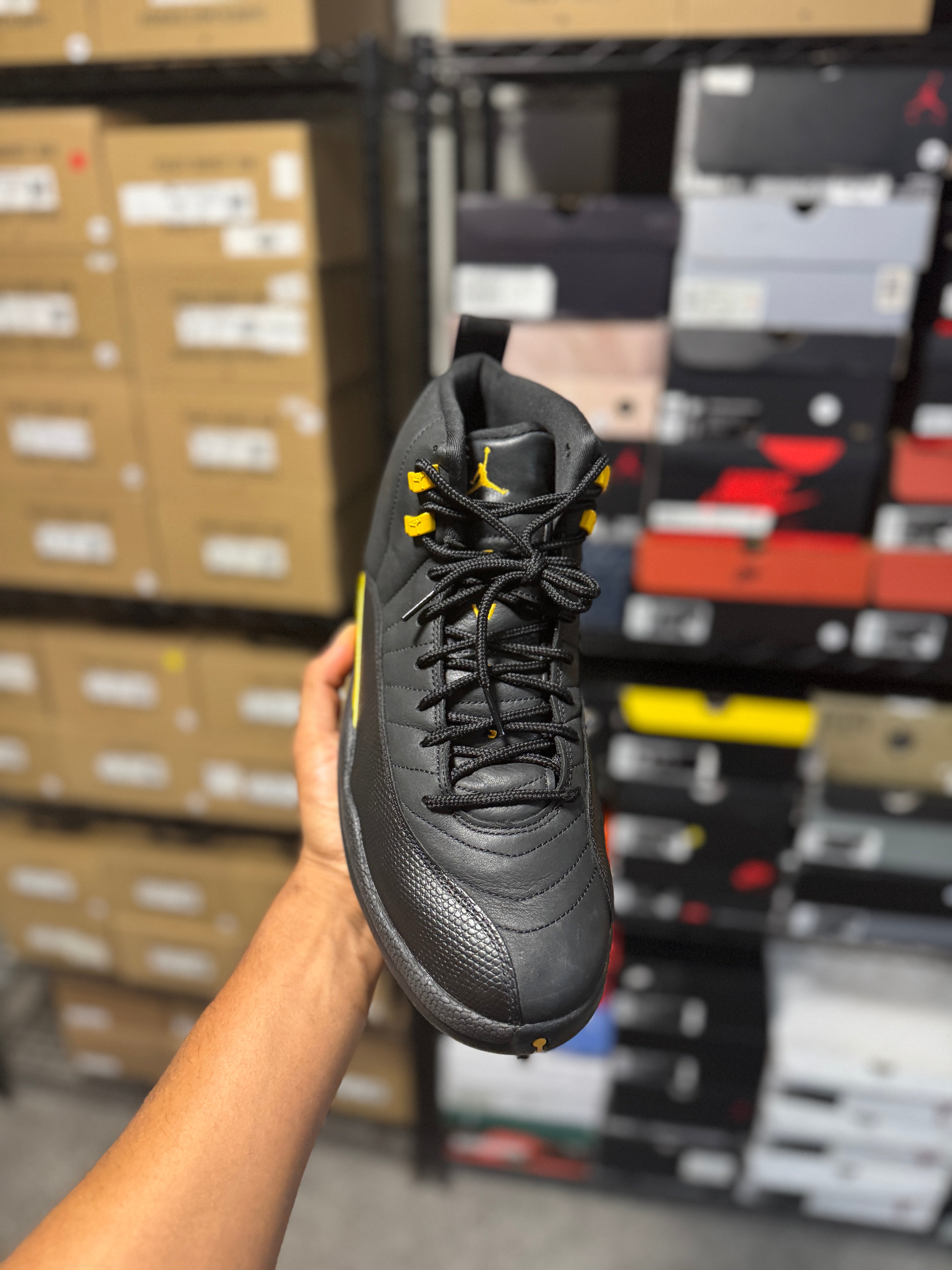 Size 13 - Jordan 12 Black Taxi