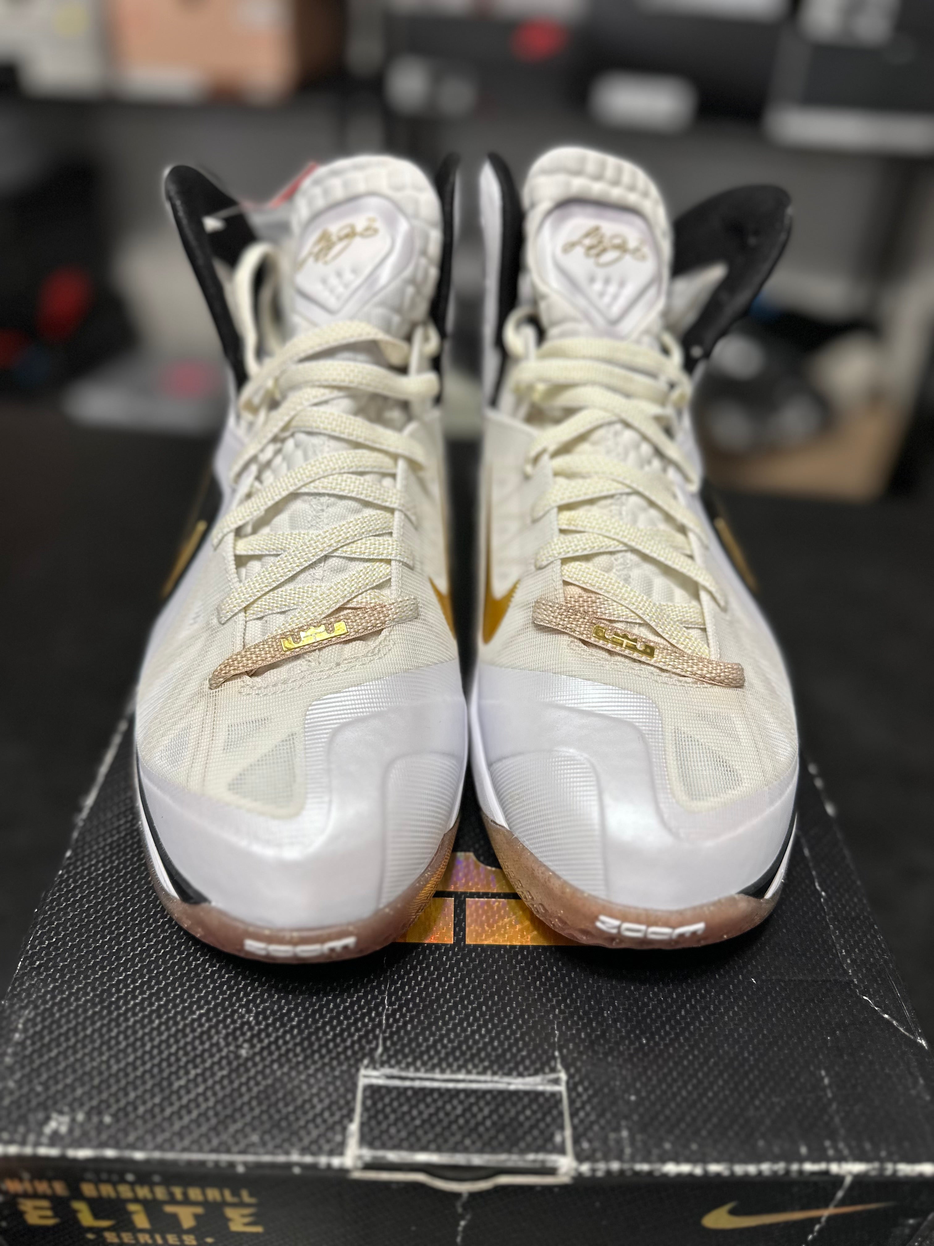 Size 11 - LeBron 9 elite home