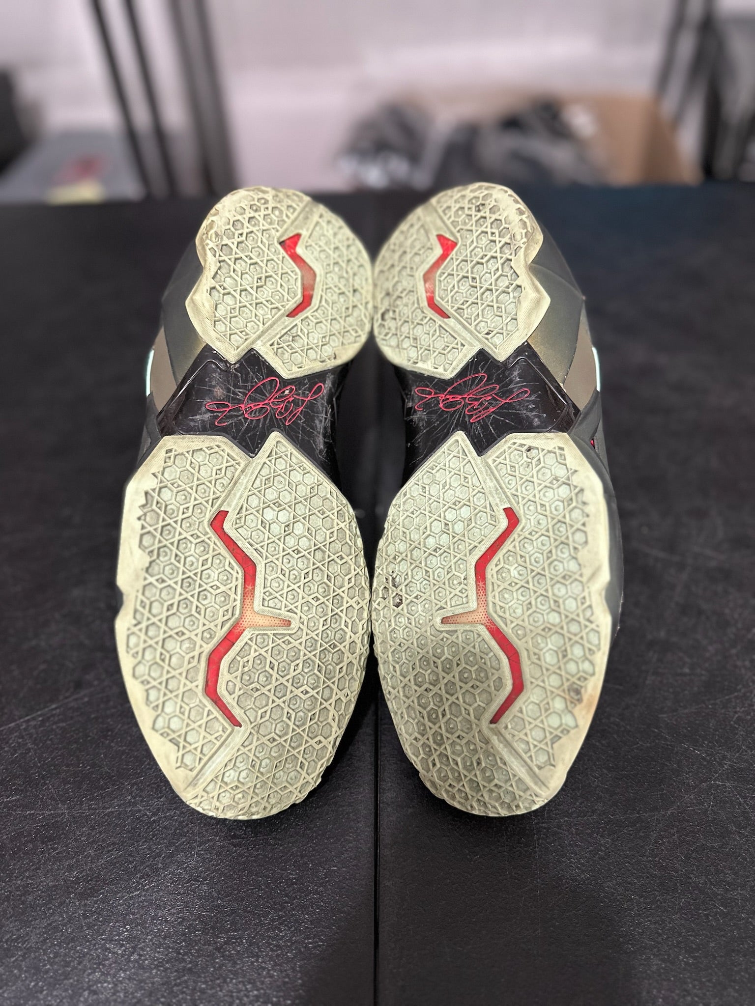 Size 11 - LeBron 11 Kings Pride