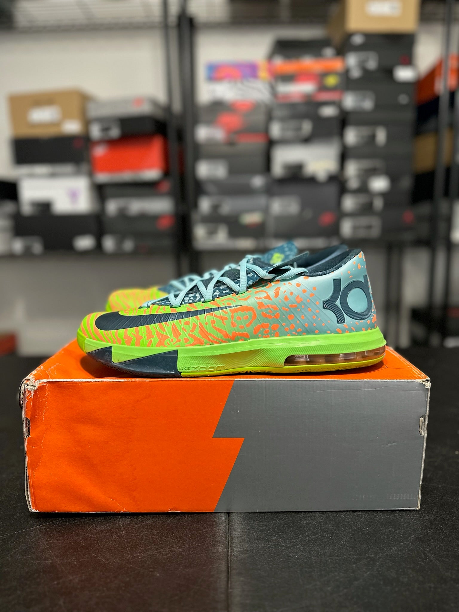 Size 13 - KD 6 Liger