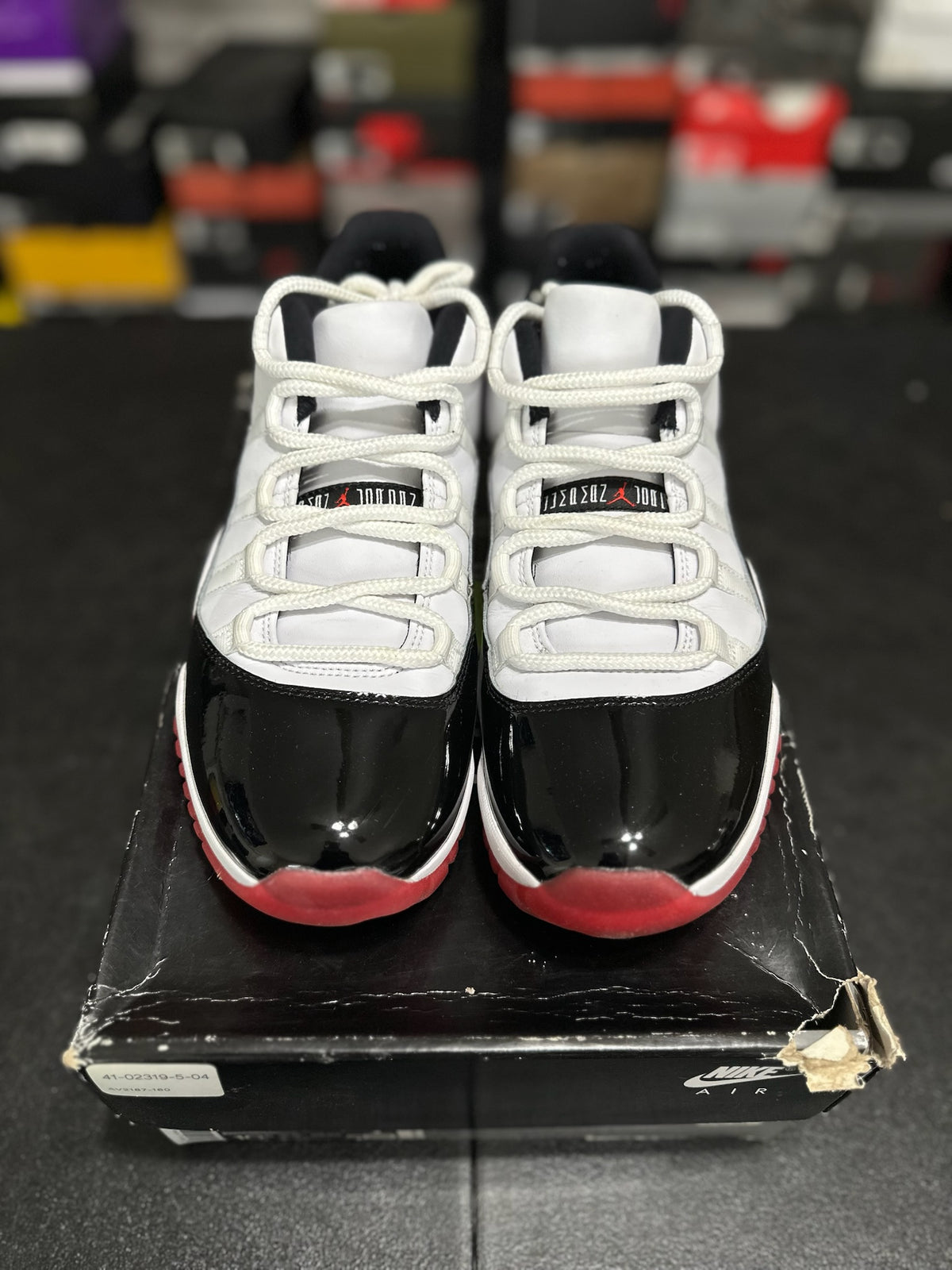 Size 10.5 - j11 concord bred
