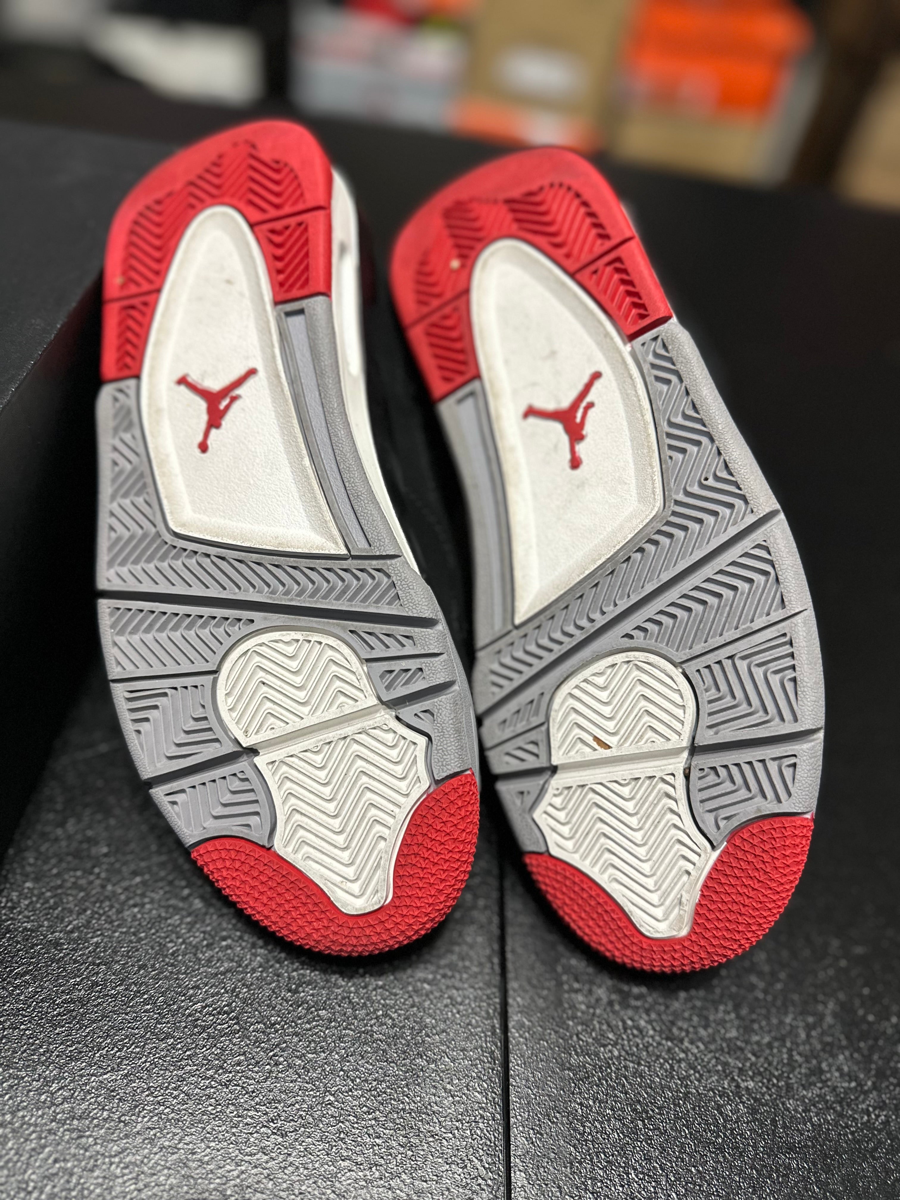 Size 5y - J4 bred 2019
