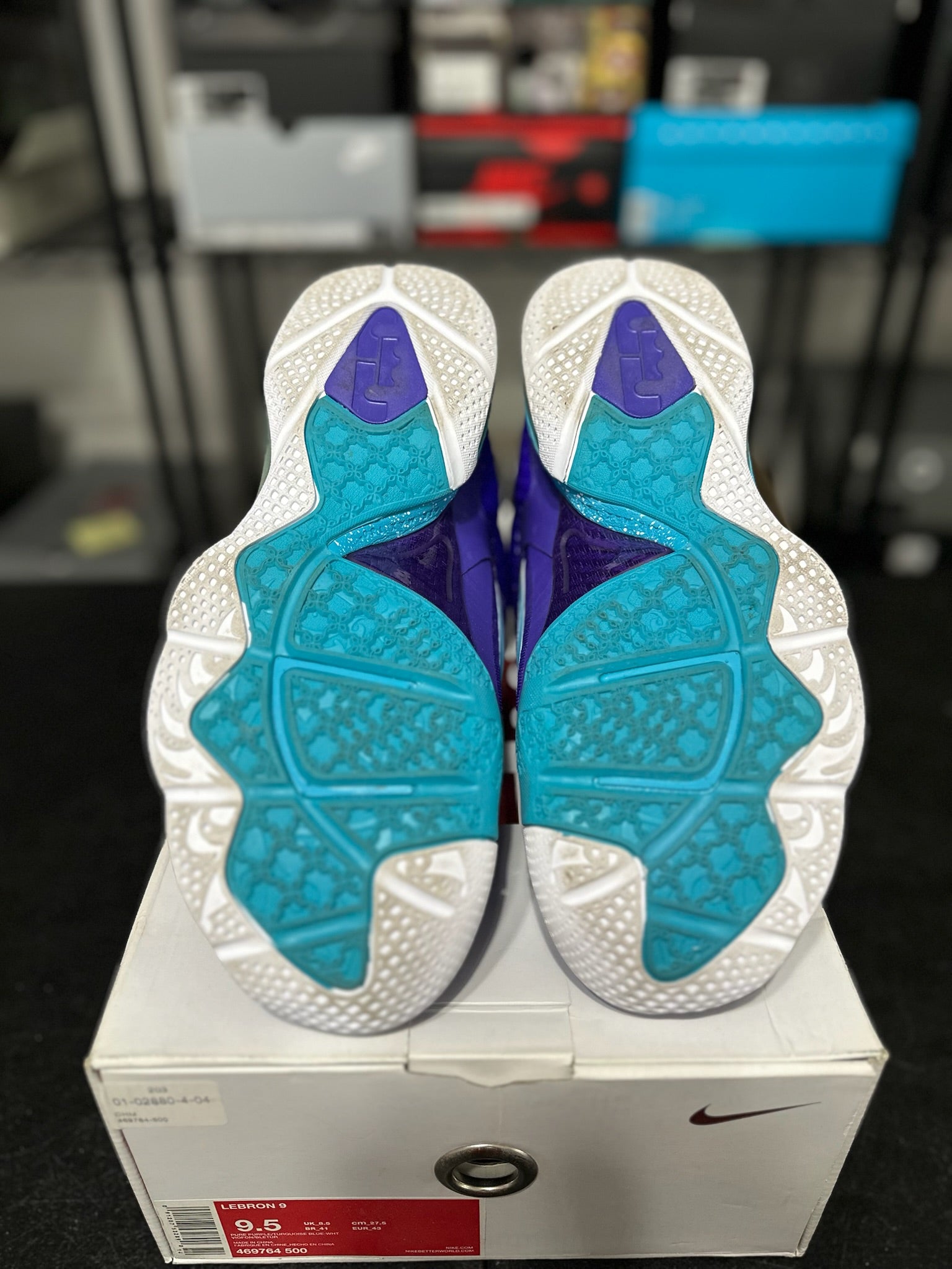 Size 9.5 - LeBron 9 Summit Lake Hornets