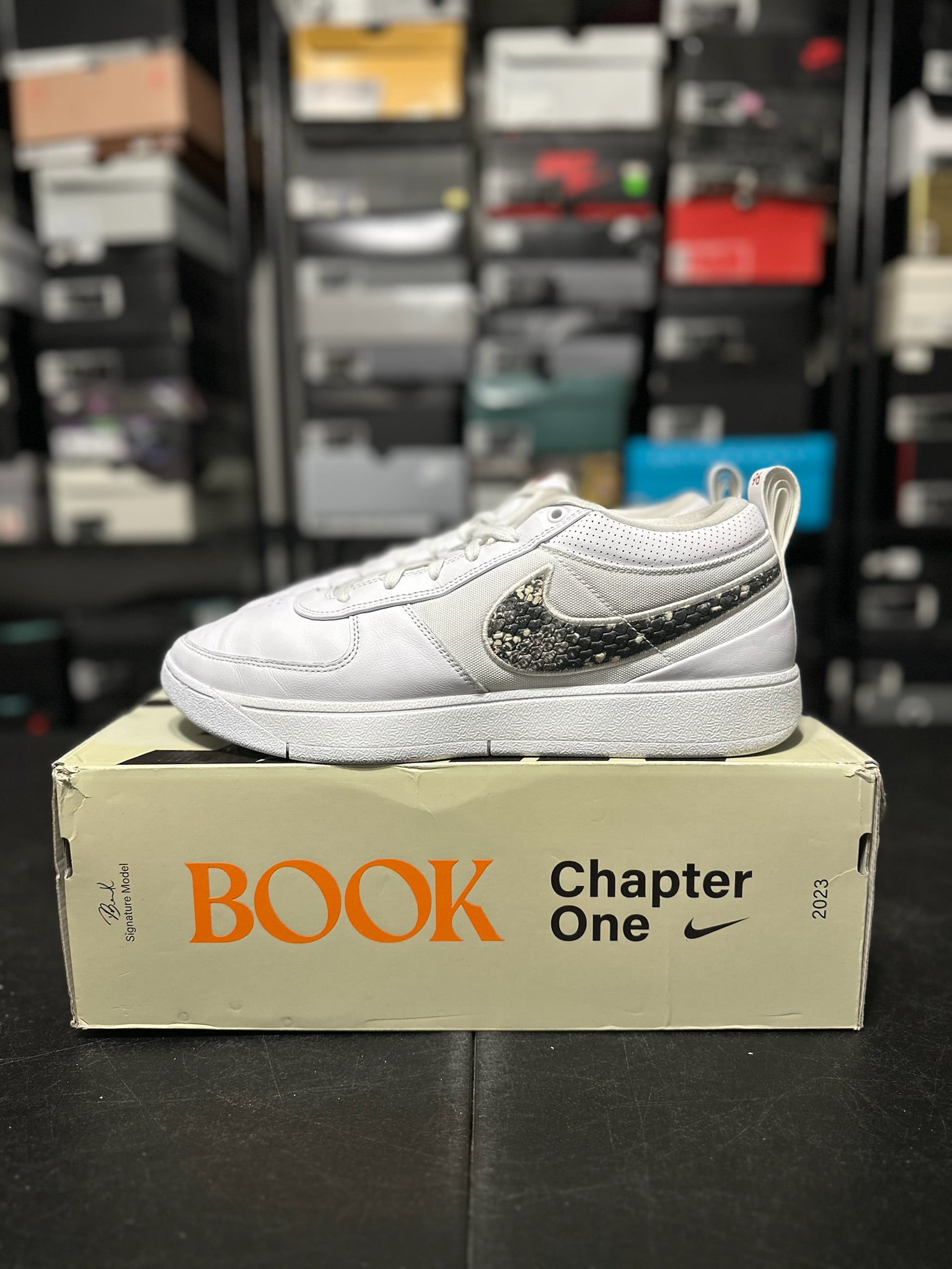 Size 13 - Book 1 Rattlesnake