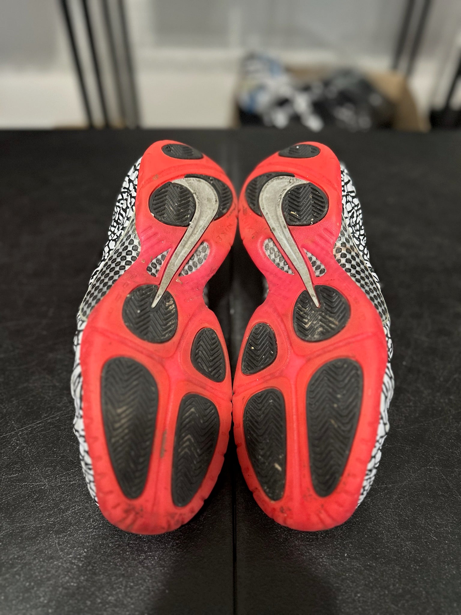 Size 11.5 - Foamposite Pro Elephant Print
