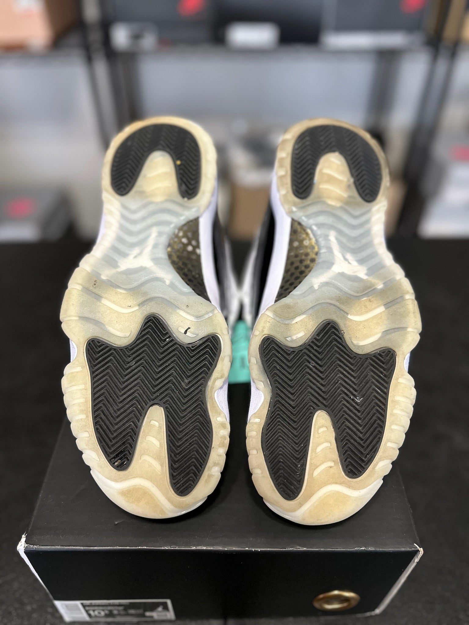 Size 10.5 - J11 DMP Gratitude
