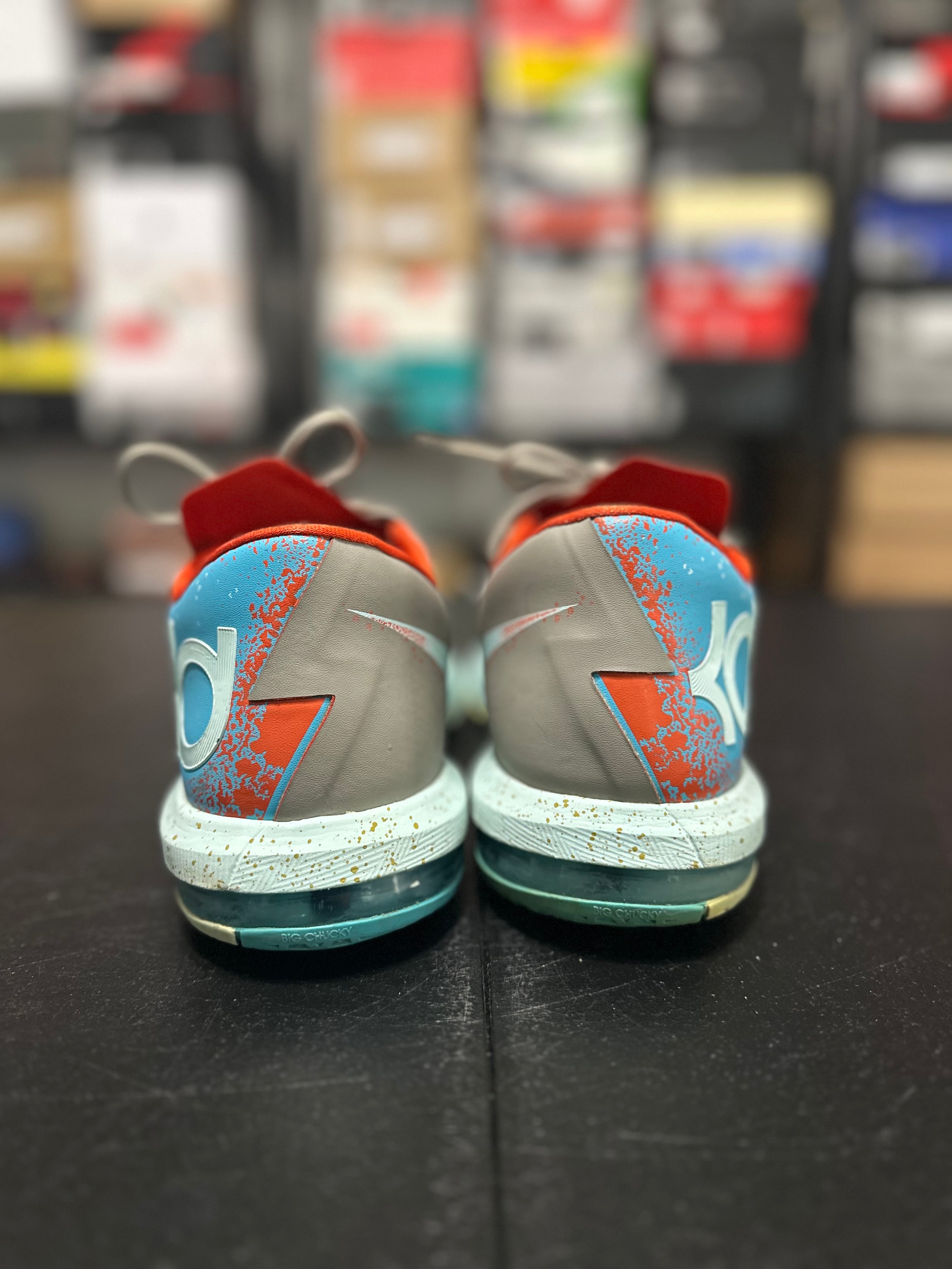 Size 10.5 - KD 6 Maryland blue crab