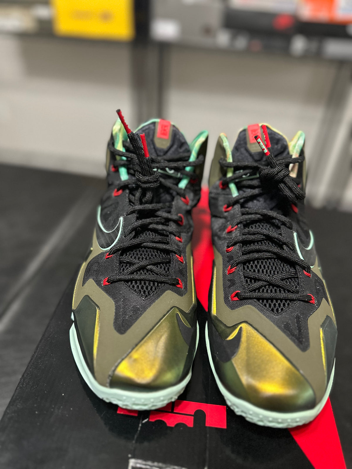 Size 10 - LeBron 11 kings pride