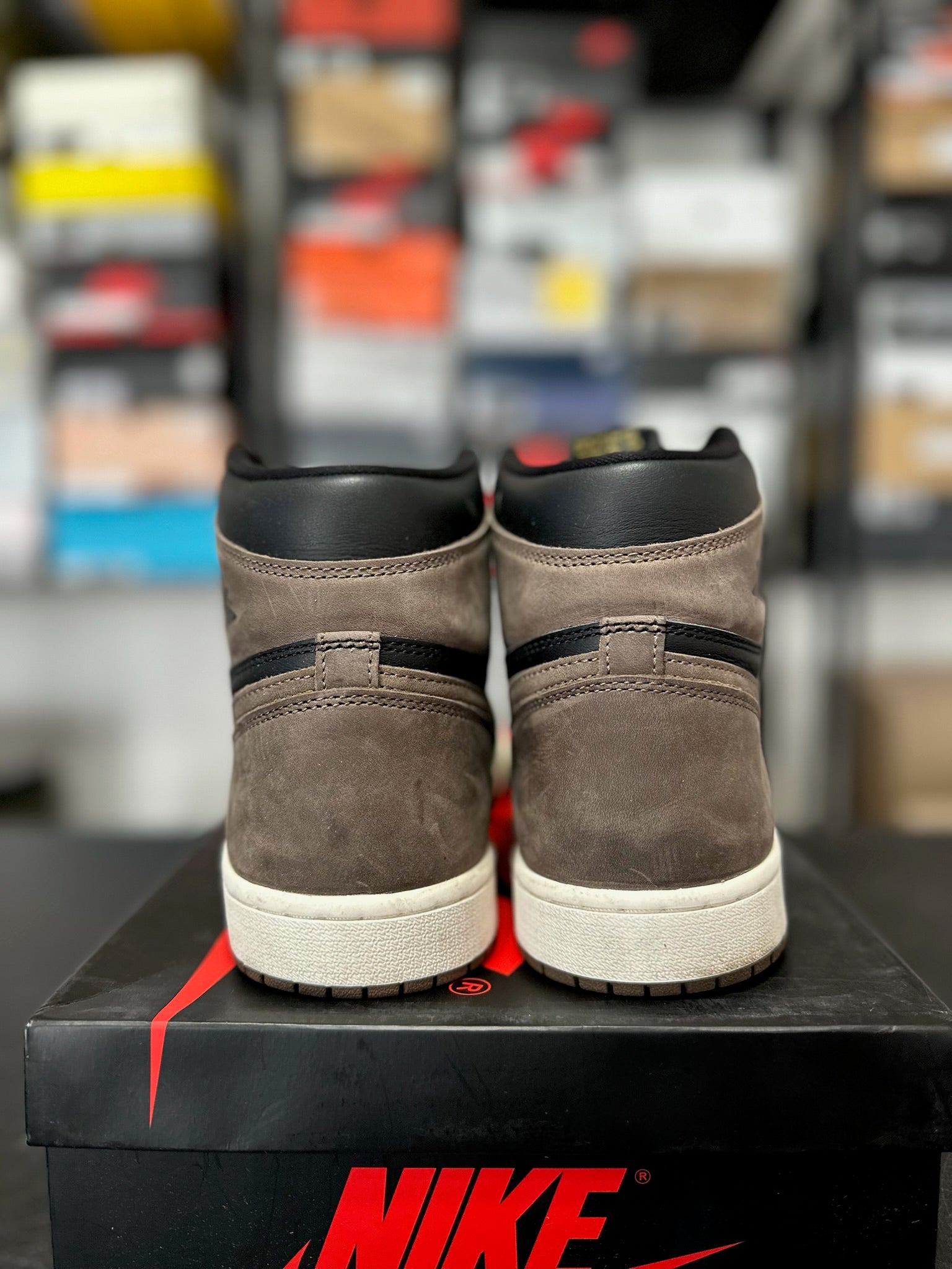 Size 11 - J1 Palomino