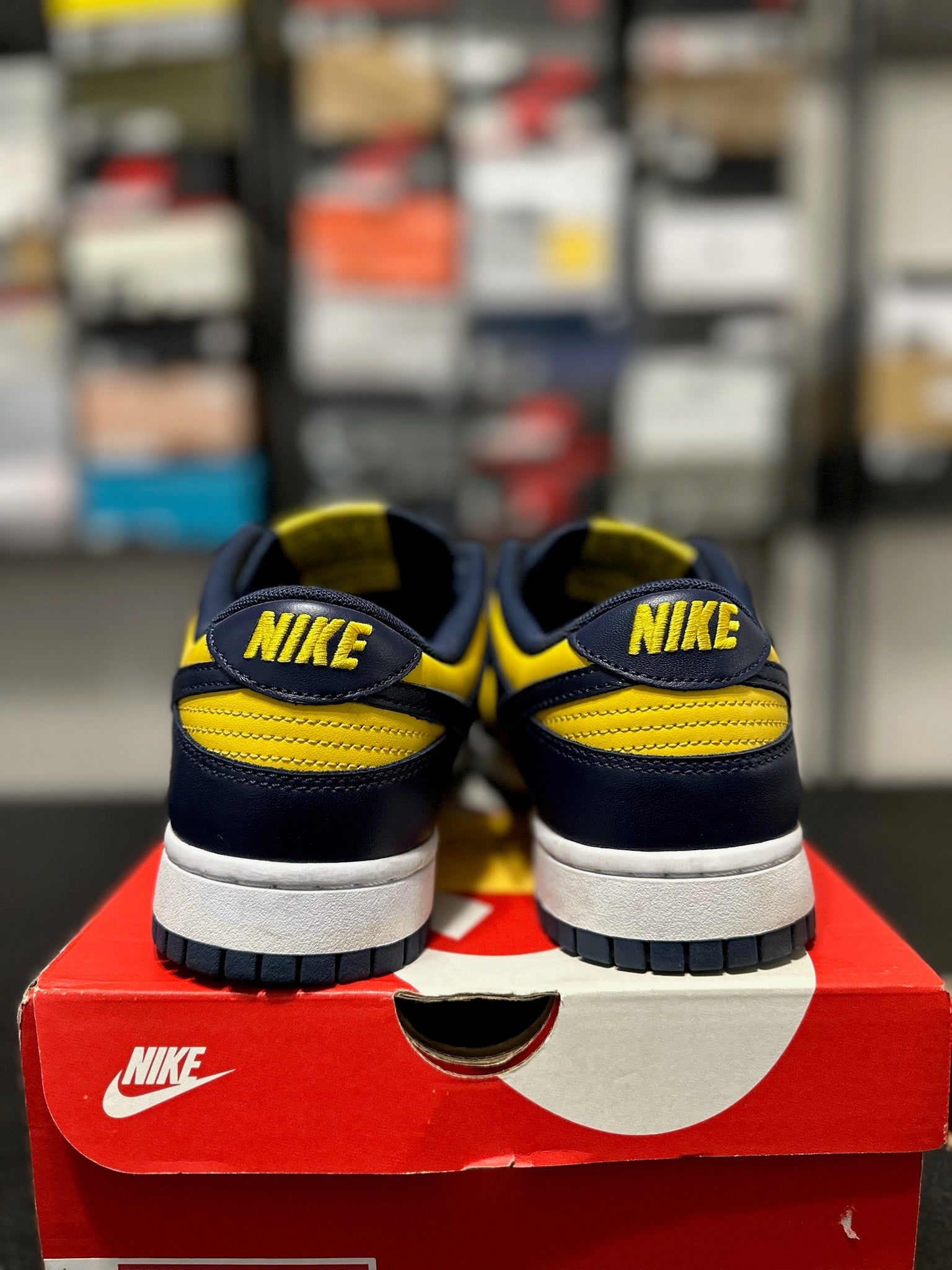 Size 9.5 - Dunk Low Michigan