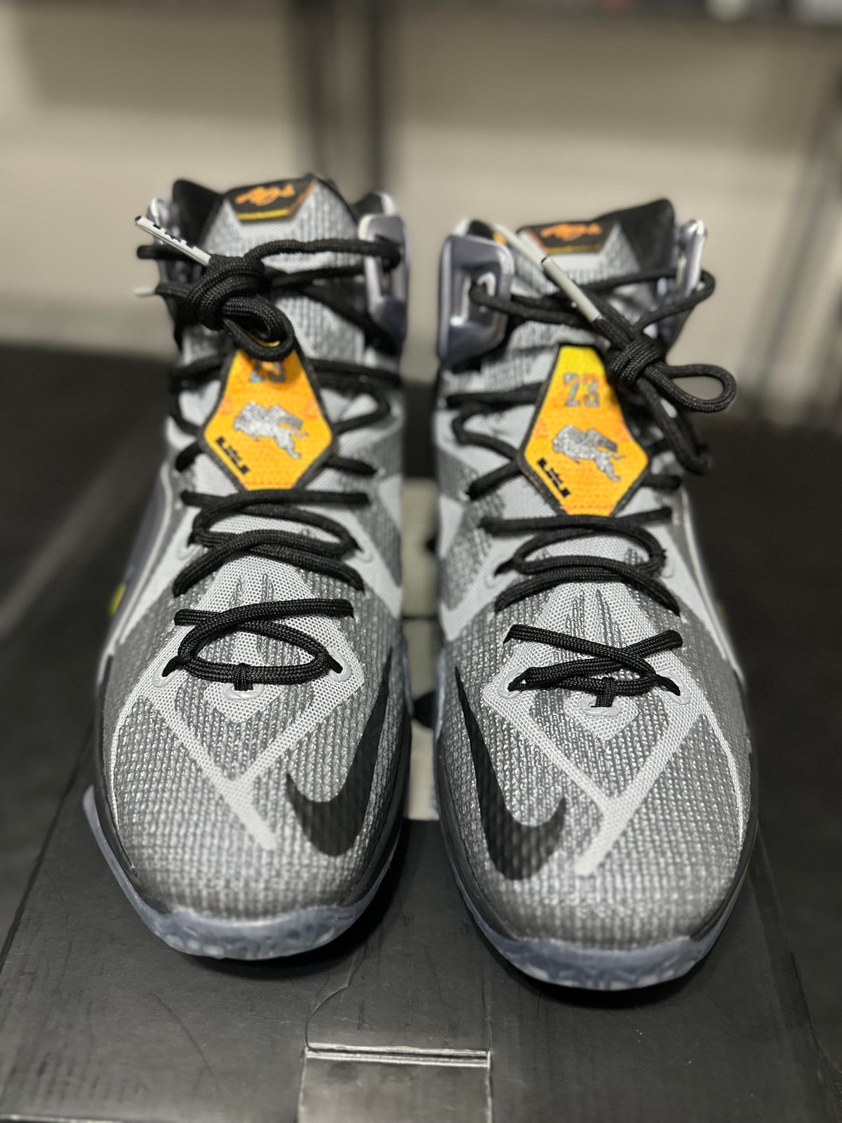 Size 10 - Lebron 12 Flight