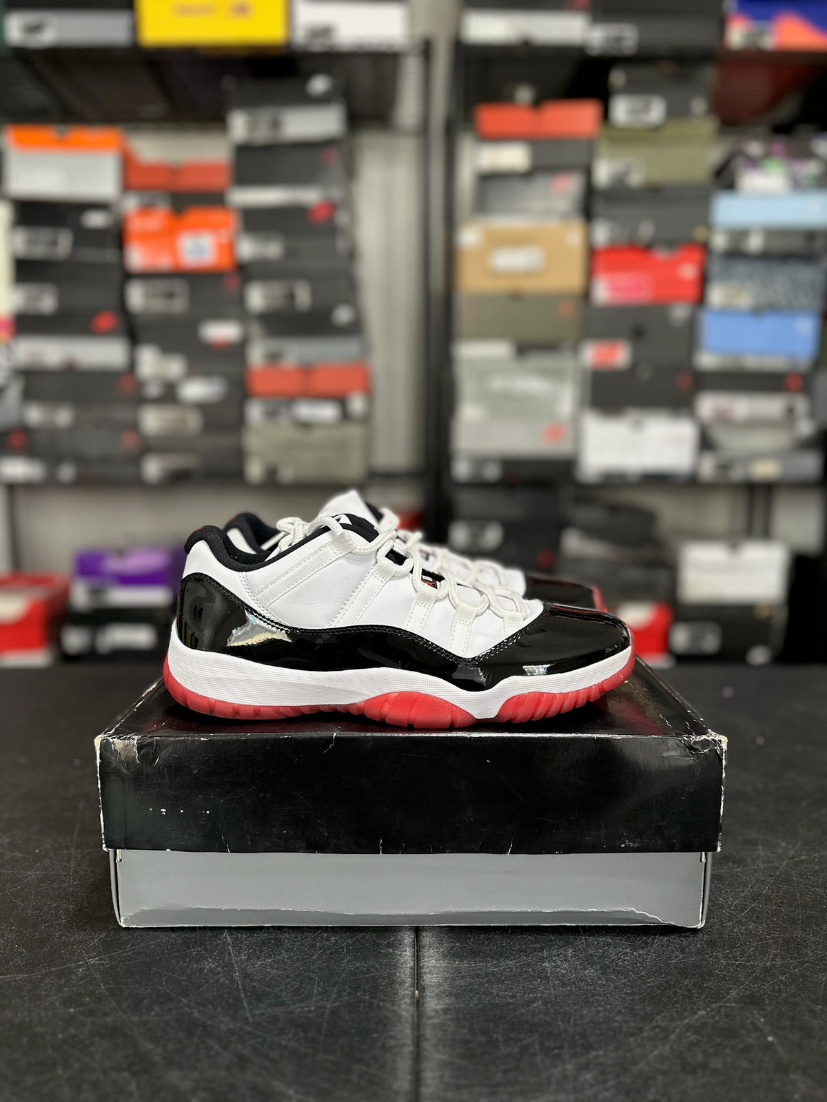 Size 10.5 - j11 concord bred