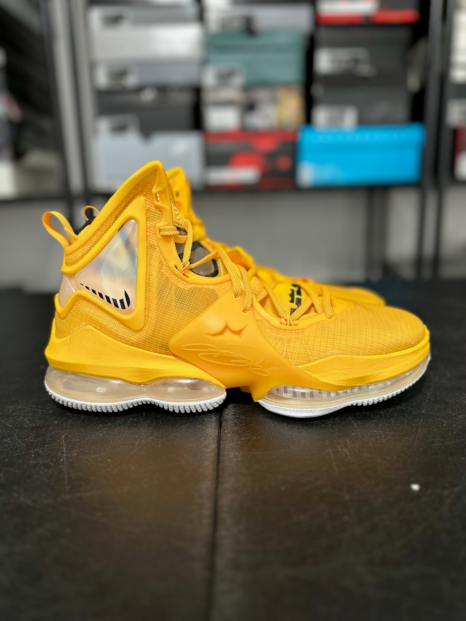 Size 11 - LeBron 19 Hard Hat