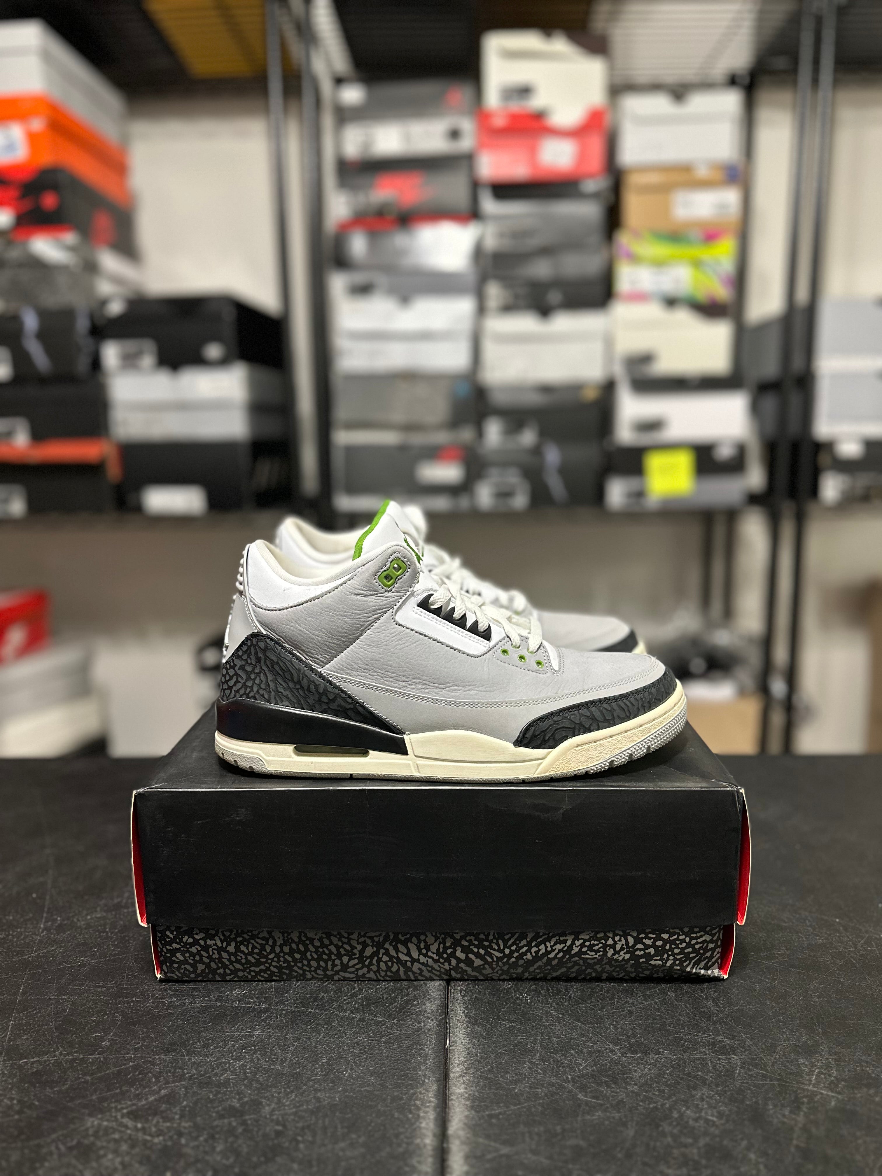 Size 11 - J3 chlorophyll